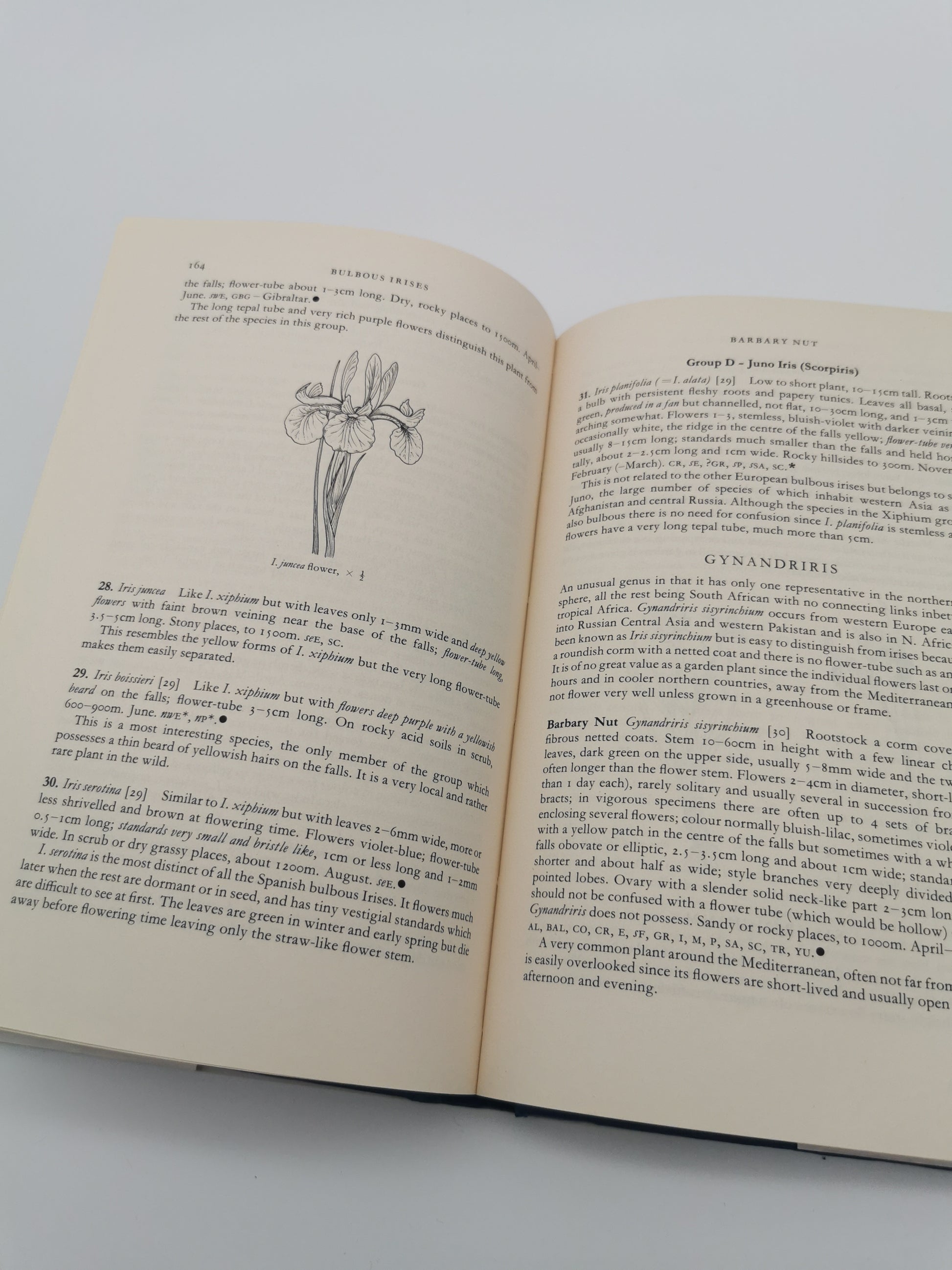 "Bulbs: The Bulbous Plants of Europe and Their Allies" by C. Grey-Wilson and B. Mathew