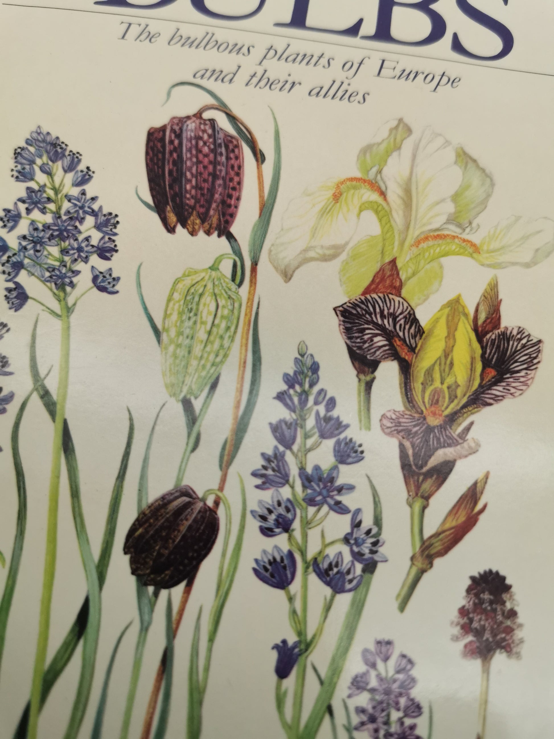 "Bulbs: The Bulbous Plants of Europe and Their Allies" by C. Grey-Wilson and B. Mathew