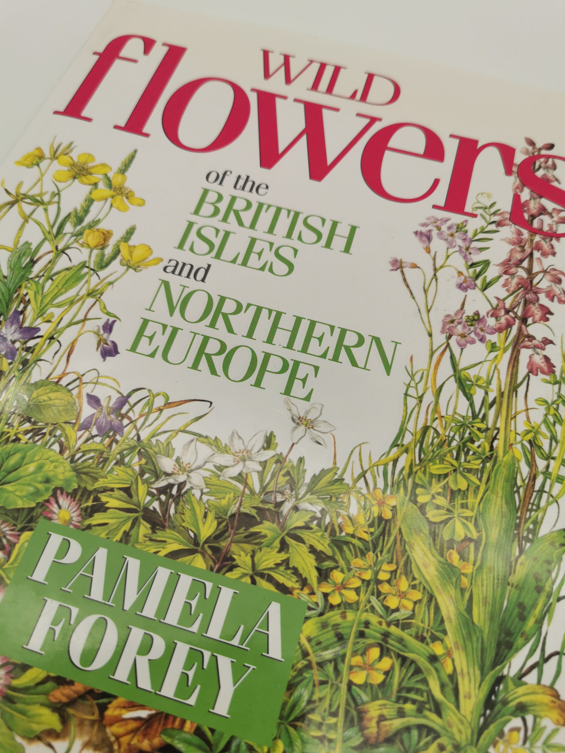 Wild Flowers of the British Isles and Northern Europe by Pamela Forey (Hardback, 1997) – Over 850 Species
