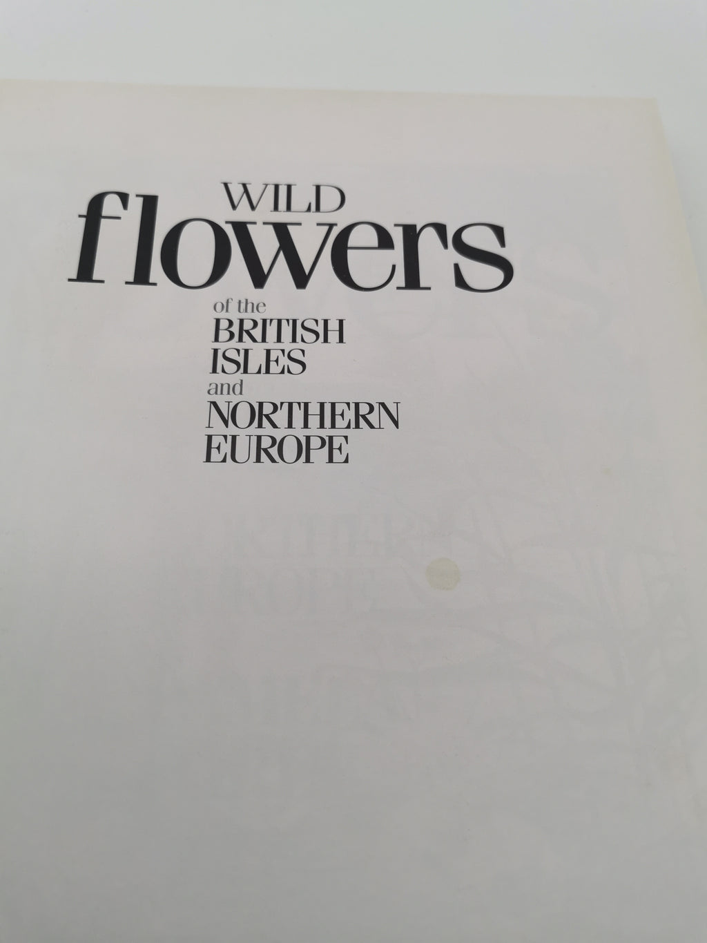 Wild Flowers of the British Isles and Northern Europe by Pamela Forey (Hardback, 1997) – Over 850 Species