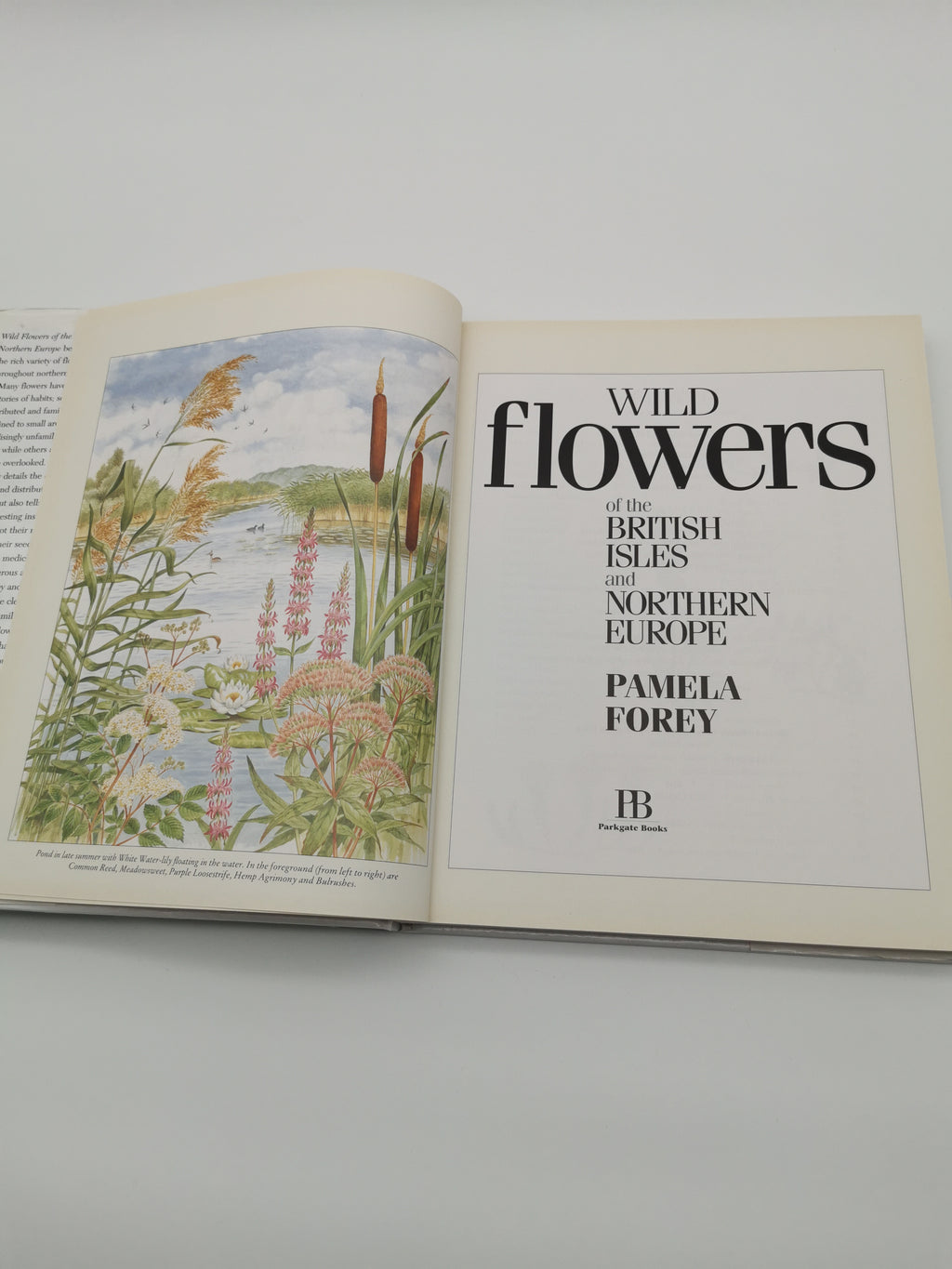 Wild Flowers of the British Isles and Northern Europe by Pamela Forey (Hardback, 1997) – Over 850 Species