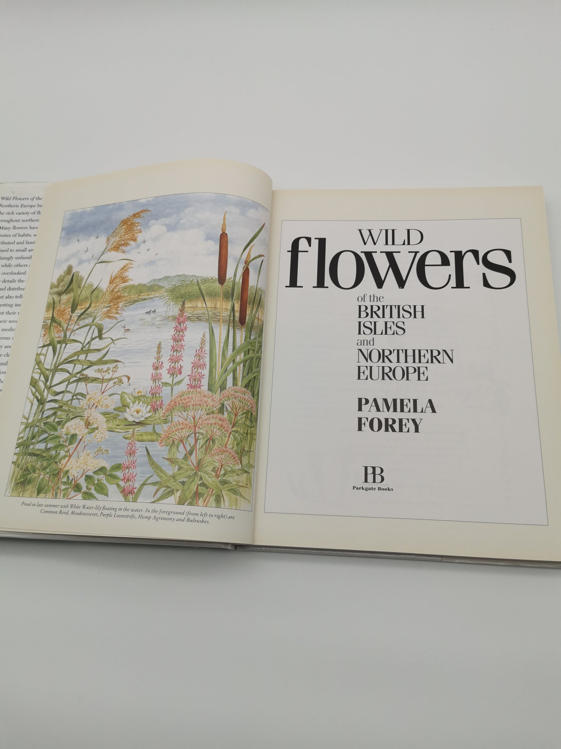 Wild Flowers of the British Isles and Northern Europe by Pamela Forey (Hardback, 1997) – Over 850 Species