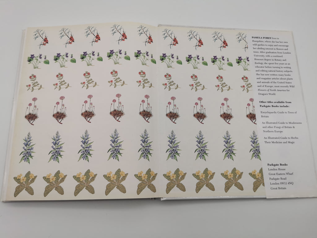 Wild Flowers of the British Isles and Northern Europe by Pamela Forey (Hardback, 1997) – Over 850 Species