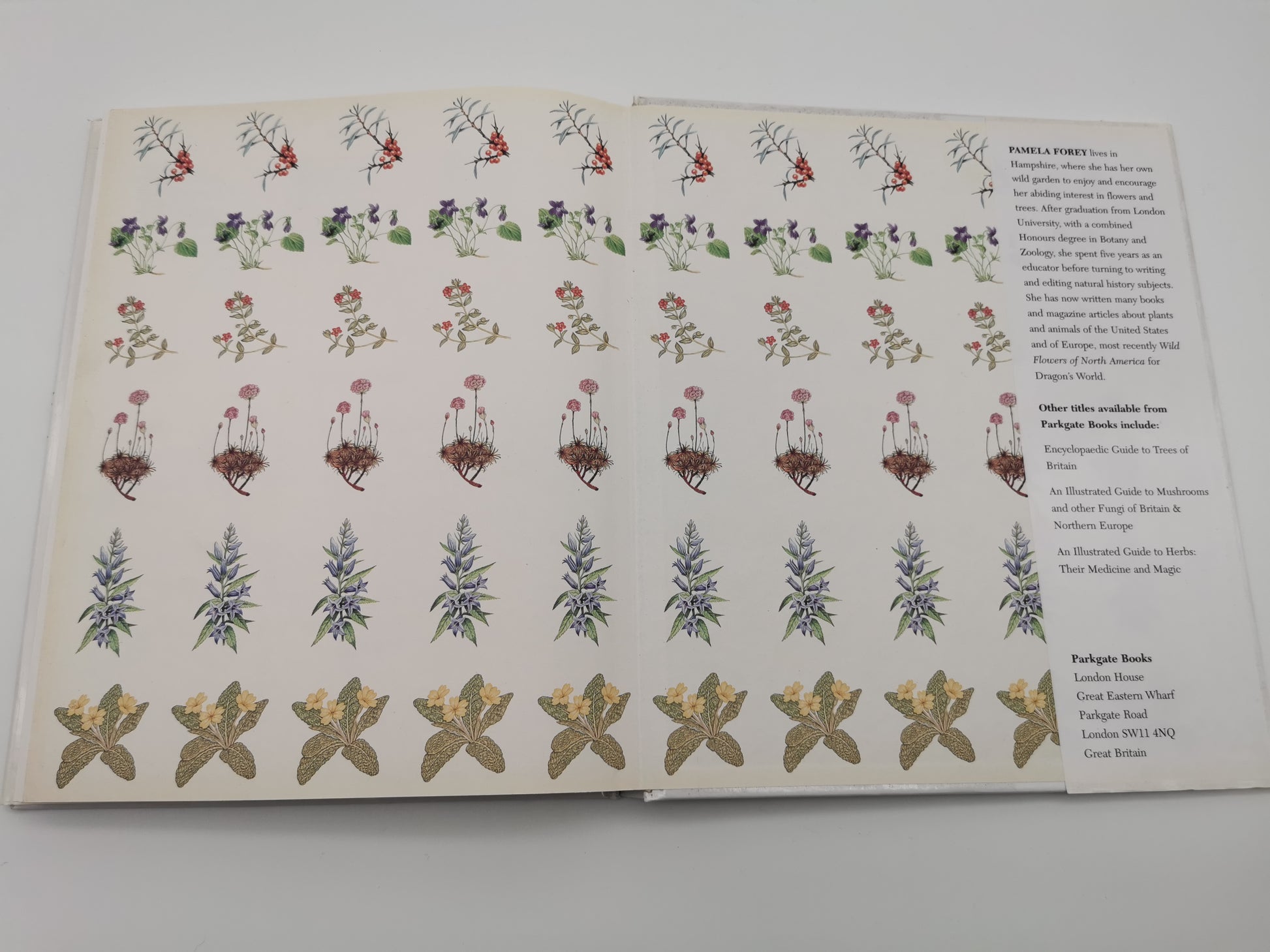 Wild Flowers of the British Isles and Northern Europe by Pamela Forey (Hardback, 1997) – Over 850 Species