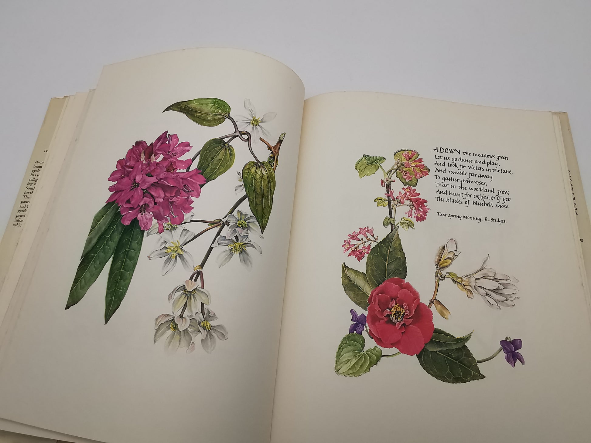 Portrait of a Country Garden by Rosanne Sanders (Vintage 1980 Hardback Book)