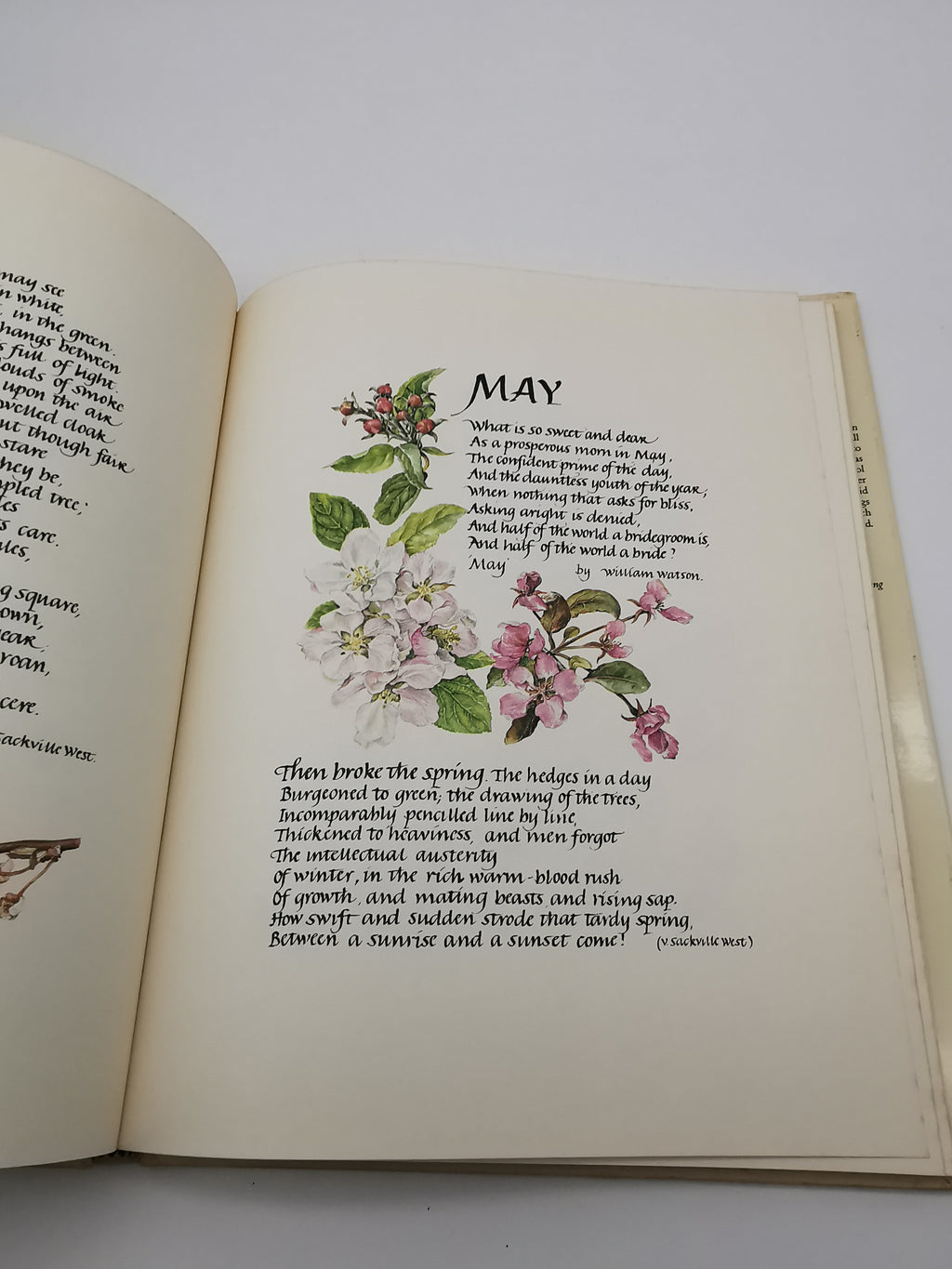 Portrait of a Country Garden by Rosanne Sanders (Vintage 1980 Hardback Book)