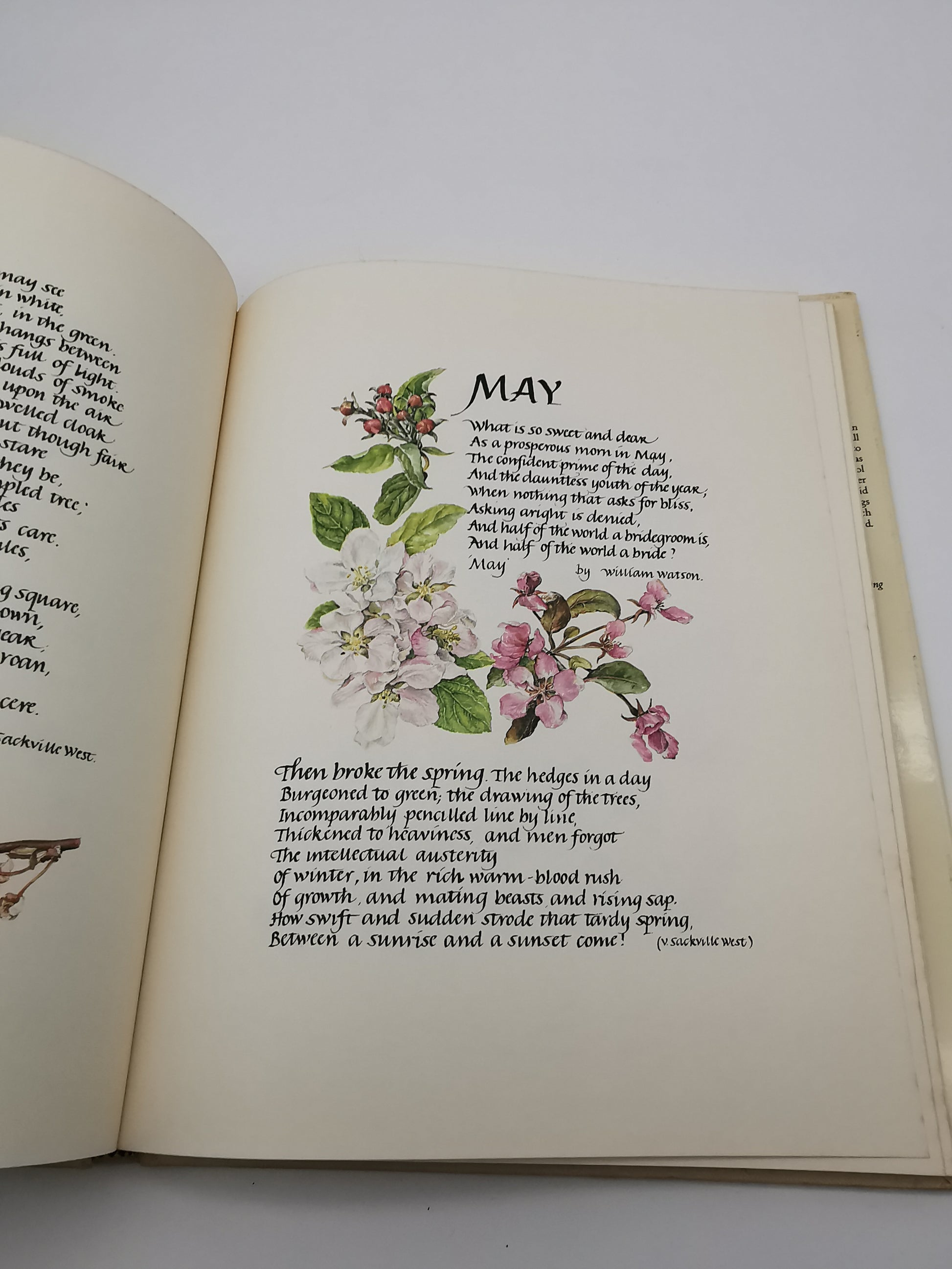 Portrait of a Country Garden by Rosanne Sanders (Vintage 1980 Hardback Book)