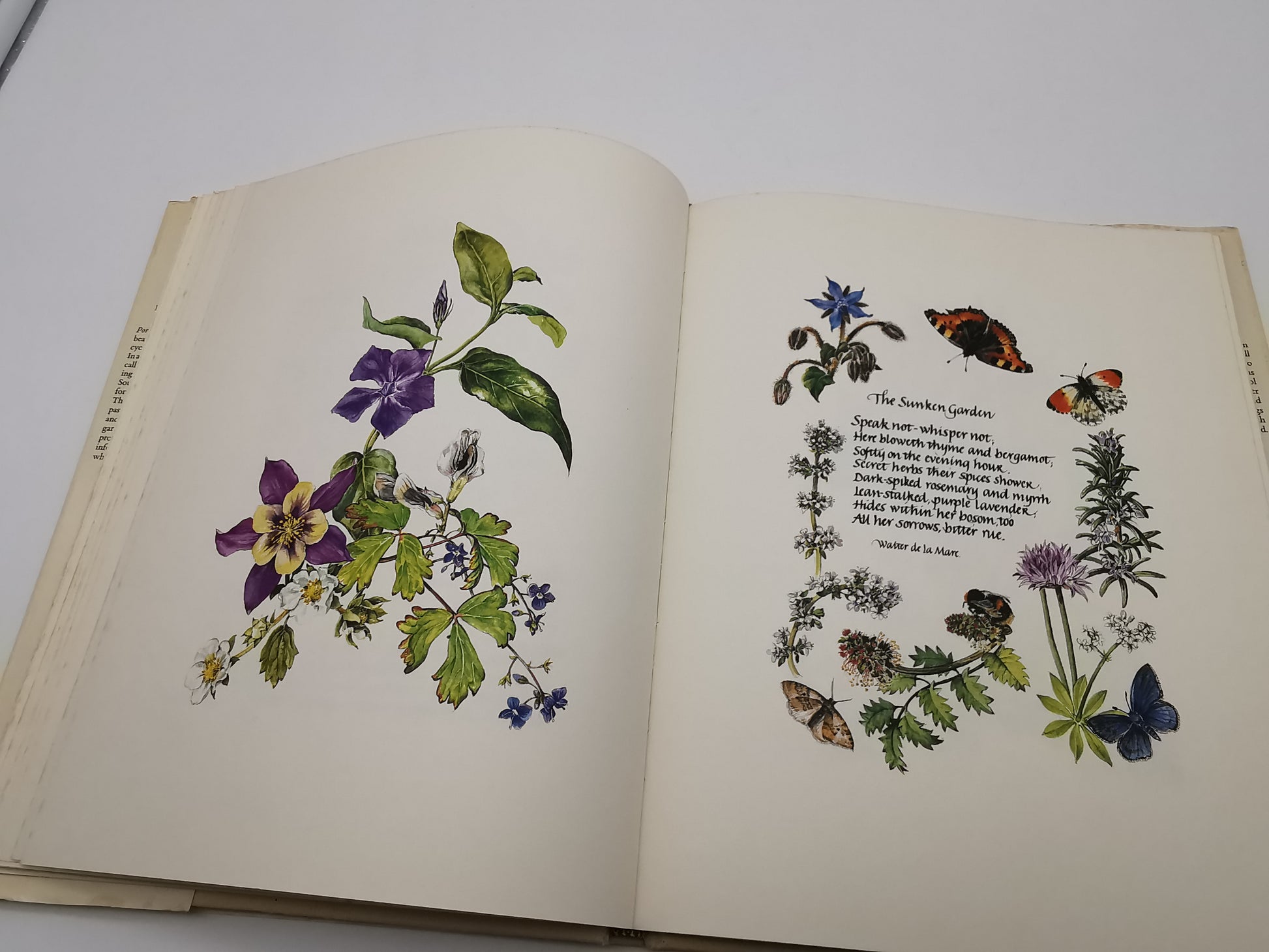 Portrait of a Country Garden by Rosanne Sanders (Vintage 1980 Hardback Book)