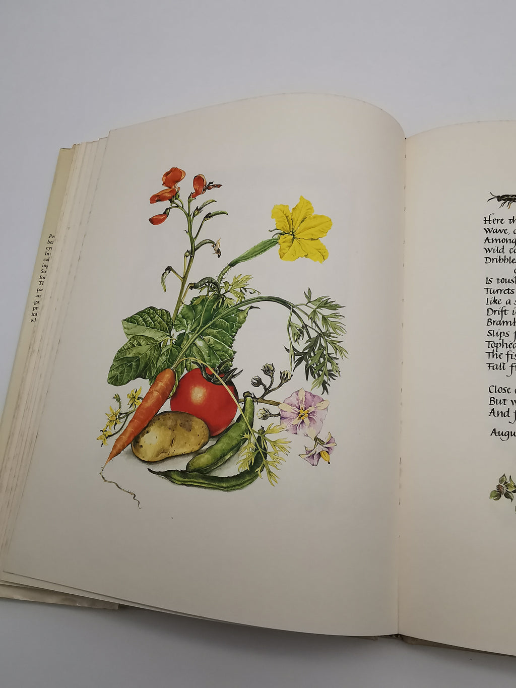 Portrait of a Country Garden by Rosanne Sanders (Vintage 1980 Hardback Book)