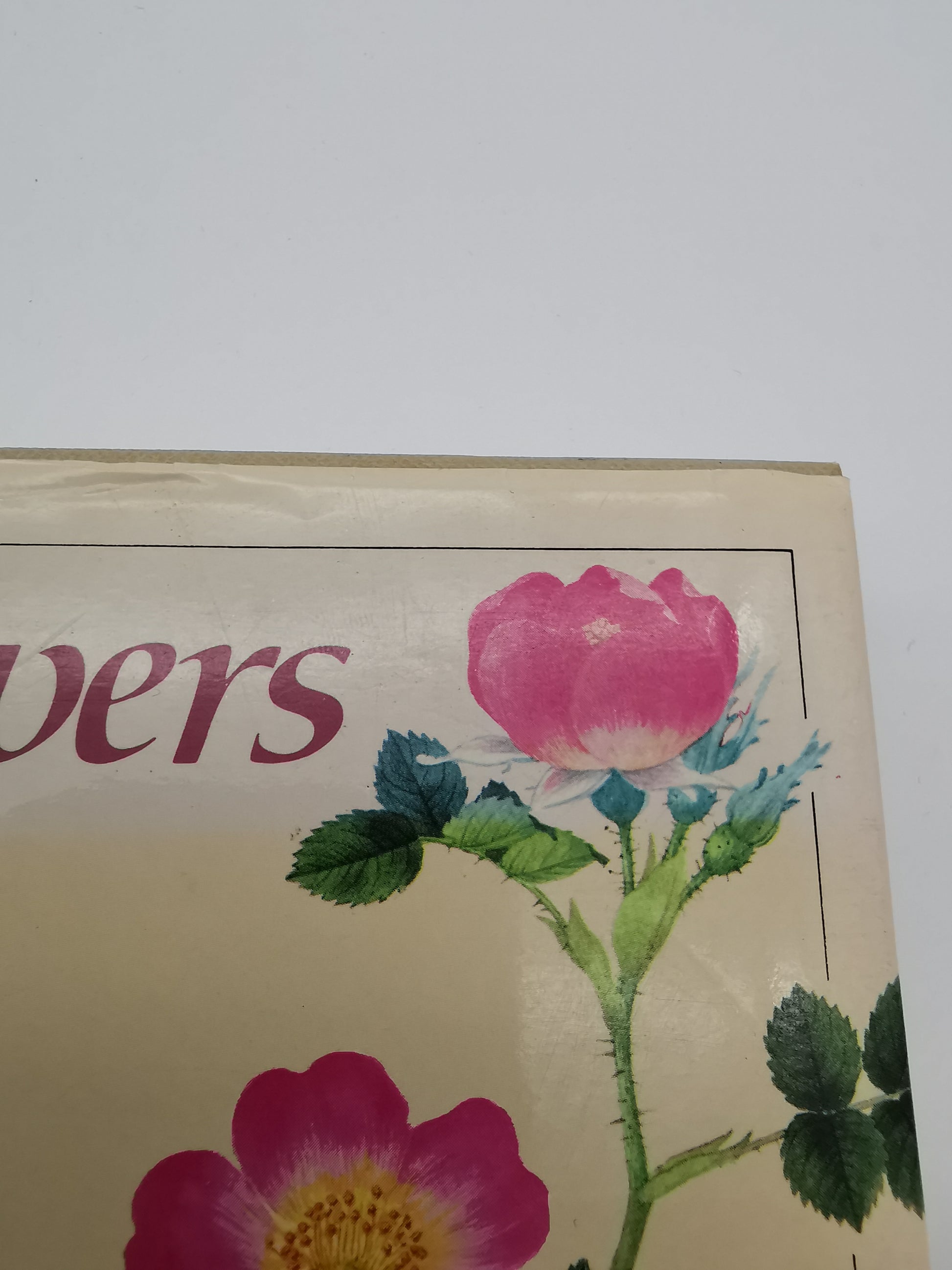 Vintage 1983 The Wild Flowers of the British Isles Hardback – First Edition Botanical Illustration Reference Guide
