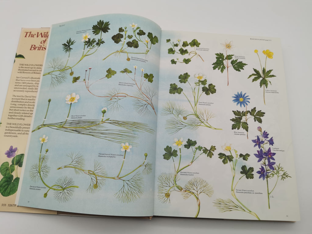 Vintage 1983 The Wild Flowers of the British Isles Hardback – First Edition Botanical Illustration Reference Guide