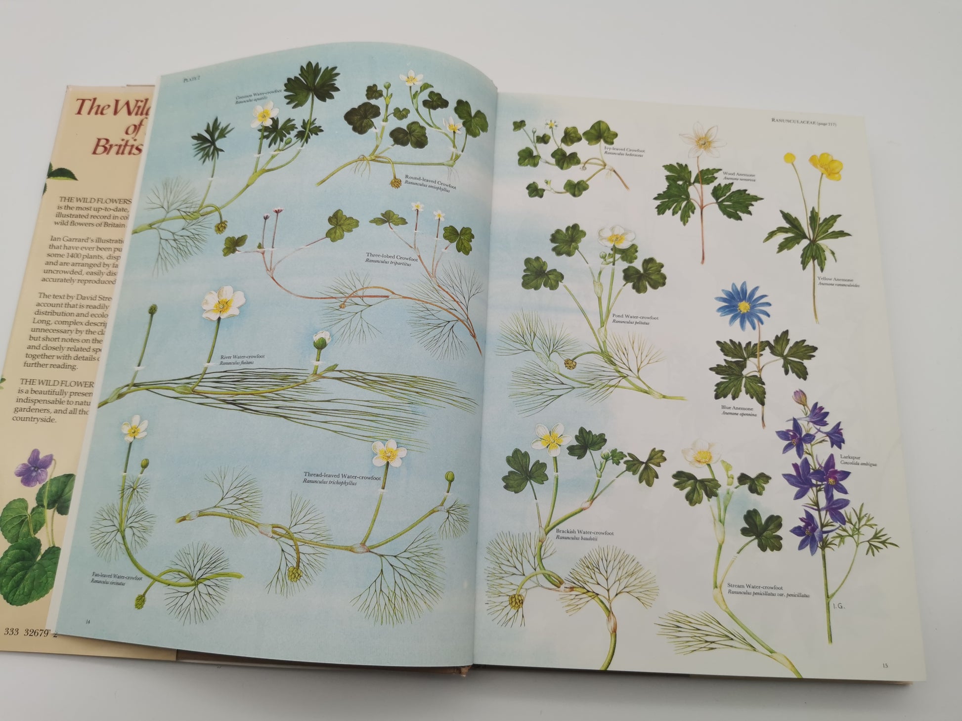 Vintage 1983 The Wild Flowers of the British Isles Hardback – First Edition Botanical Illustration Reference Guide