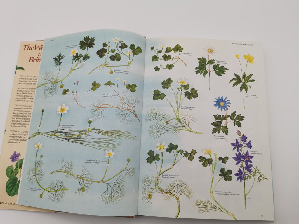Vintage 1983 The Wild Flowers of the British Isles Hardback – First Edition Botanical Illustration Reference Guide