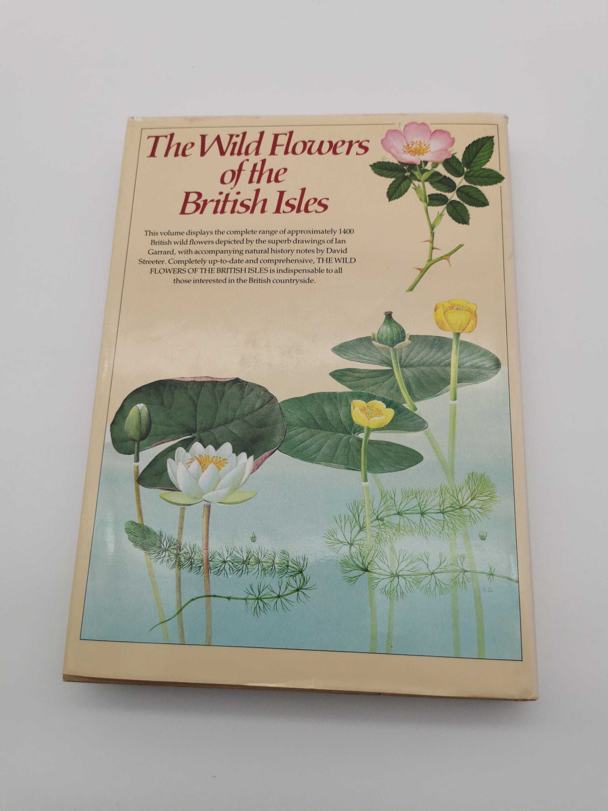 Vintage 1983 The Wild Flowers of the British Isles Hardback – First Edition Botanical Illustration Reference Guide