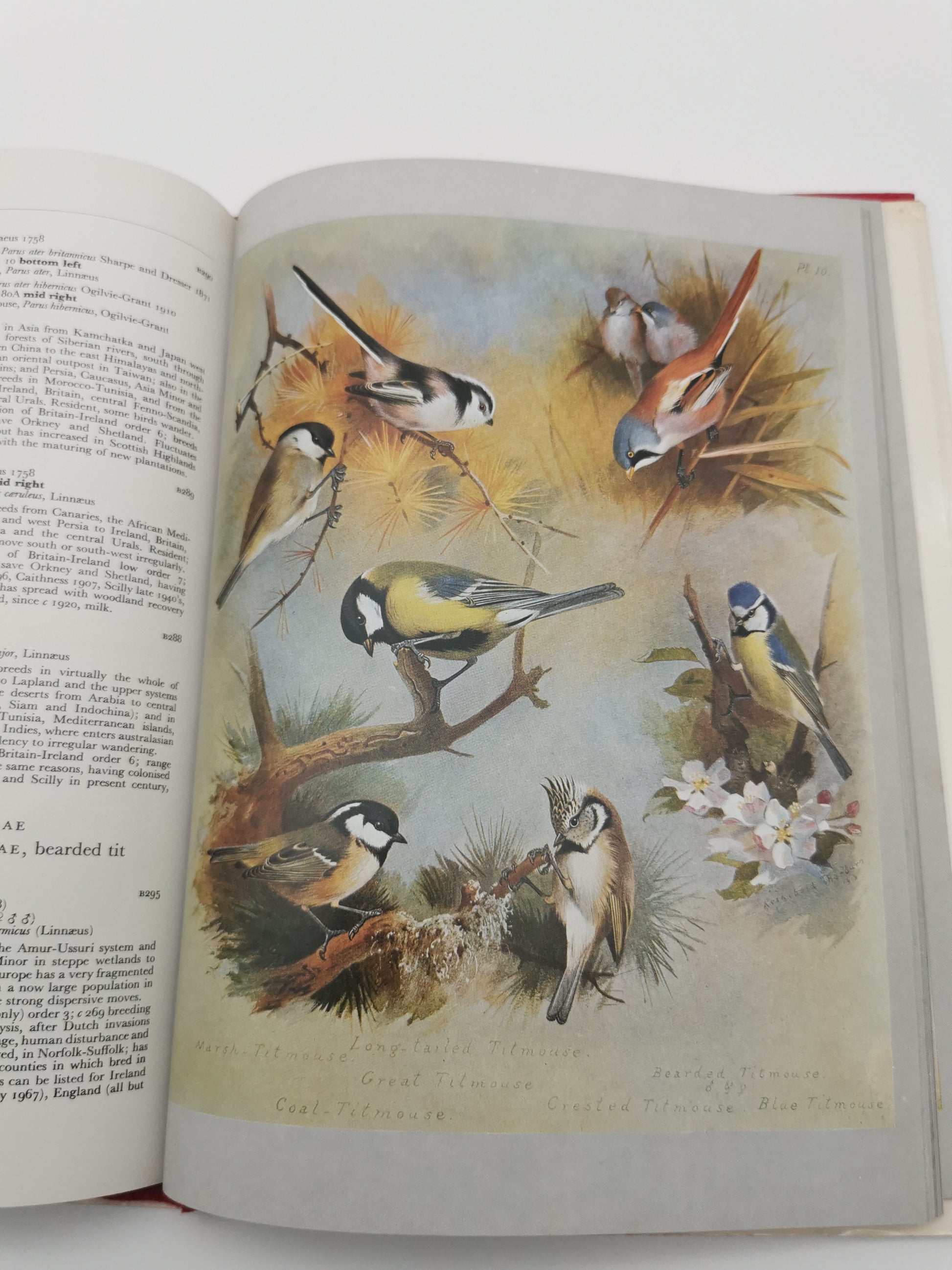 Thorburn's Birds by James Fisher & John Parslow – Book Club Associates Edition (Hardback)