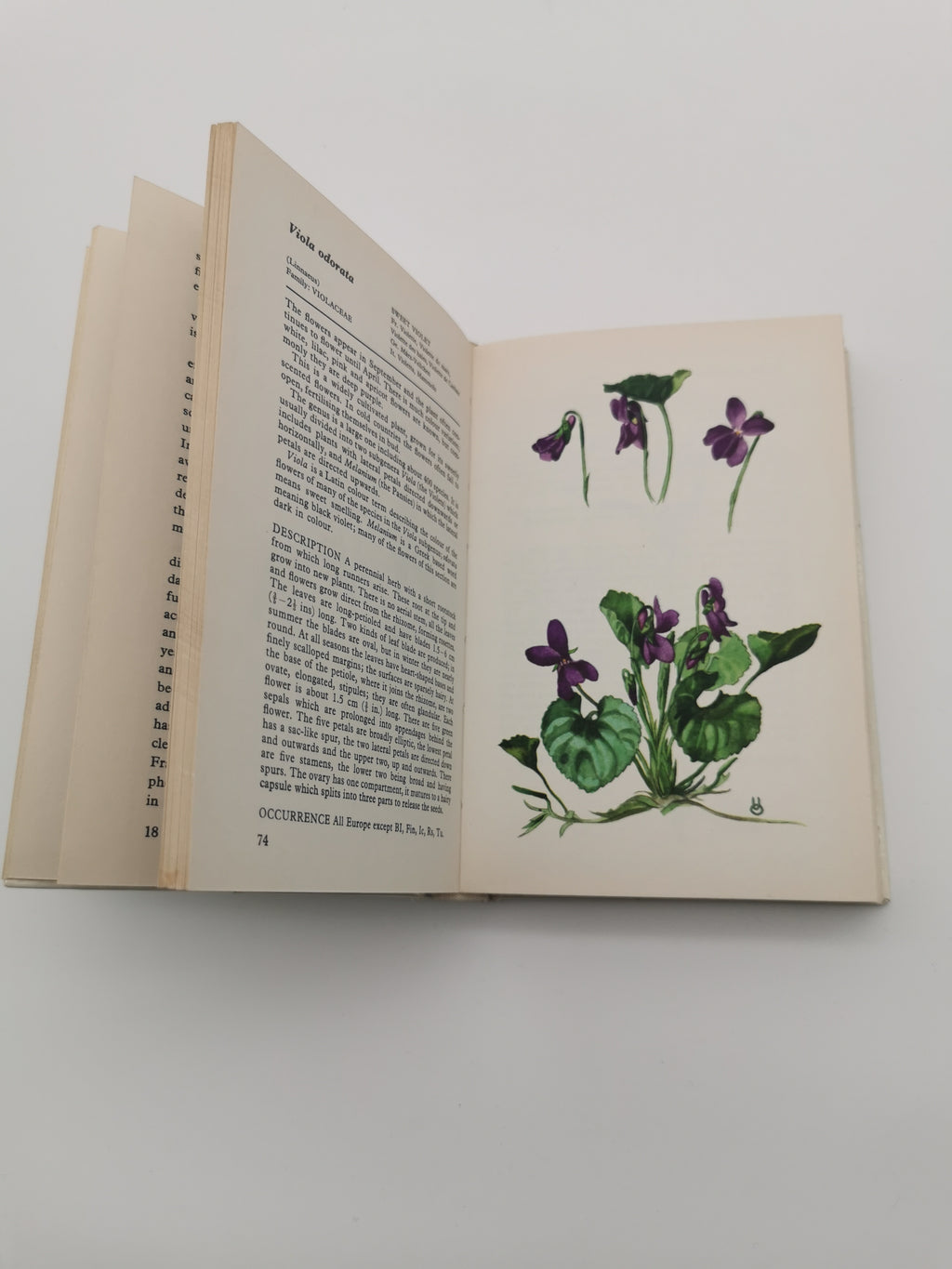 Vintage 1969 Wild Flowers of Europe Hardback Book- An Illustrated Guide