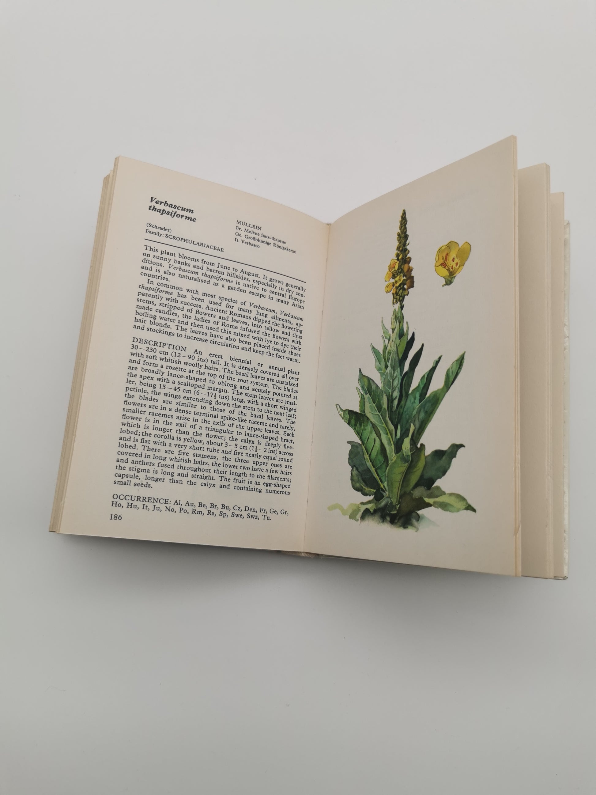 Vintage 1969 Wild Flowers of Europe Hardback Book- An Illustrated Guide