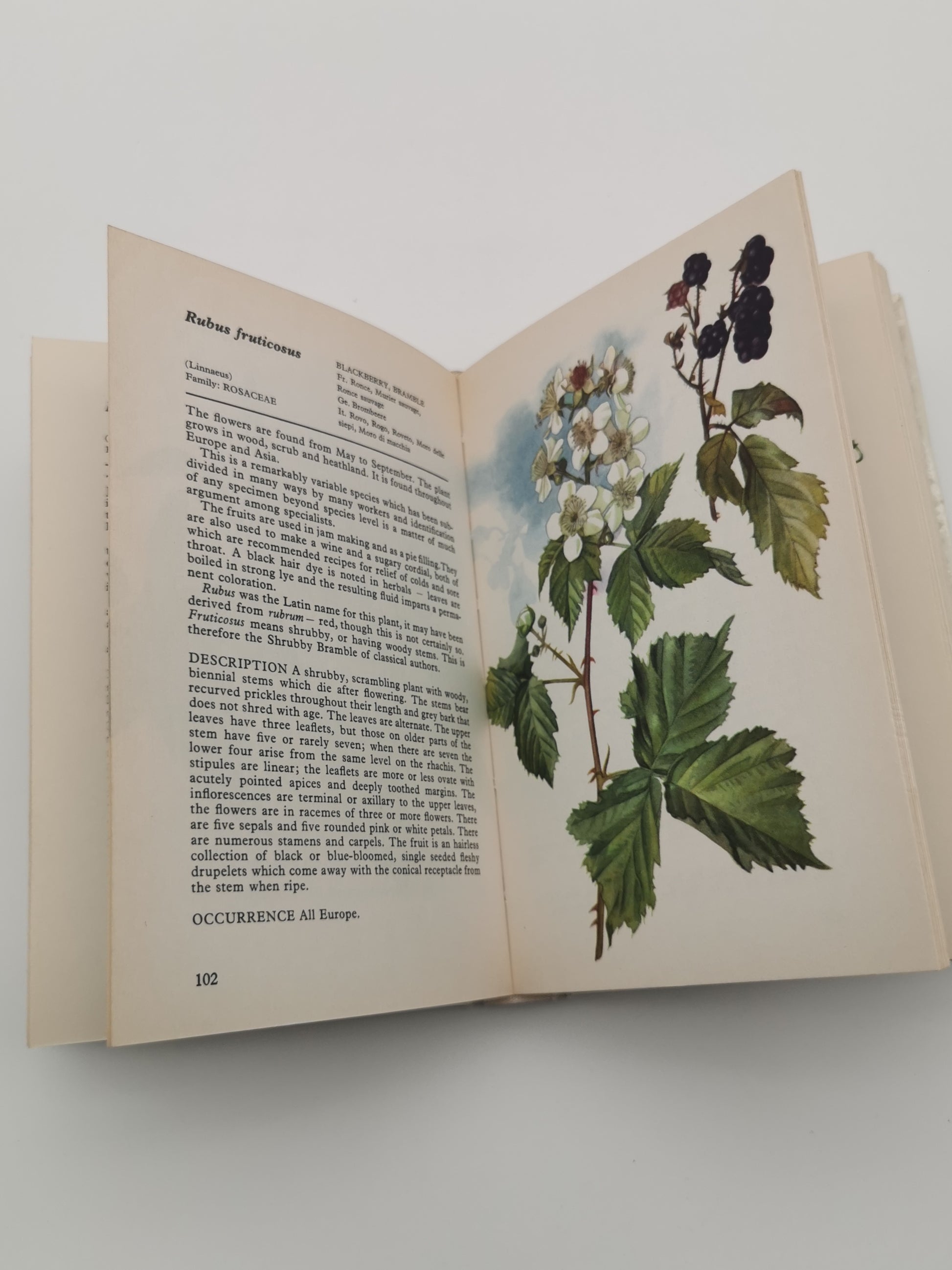 Vintage 1969 Wild Flowers of Europe Hardback Book- An Illustrated Guide