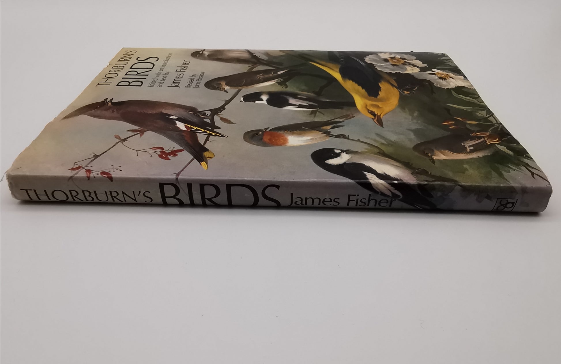 Thorburn's Birds by James Fisher & John Parslow – Book Club Associates Edition (Hardback)