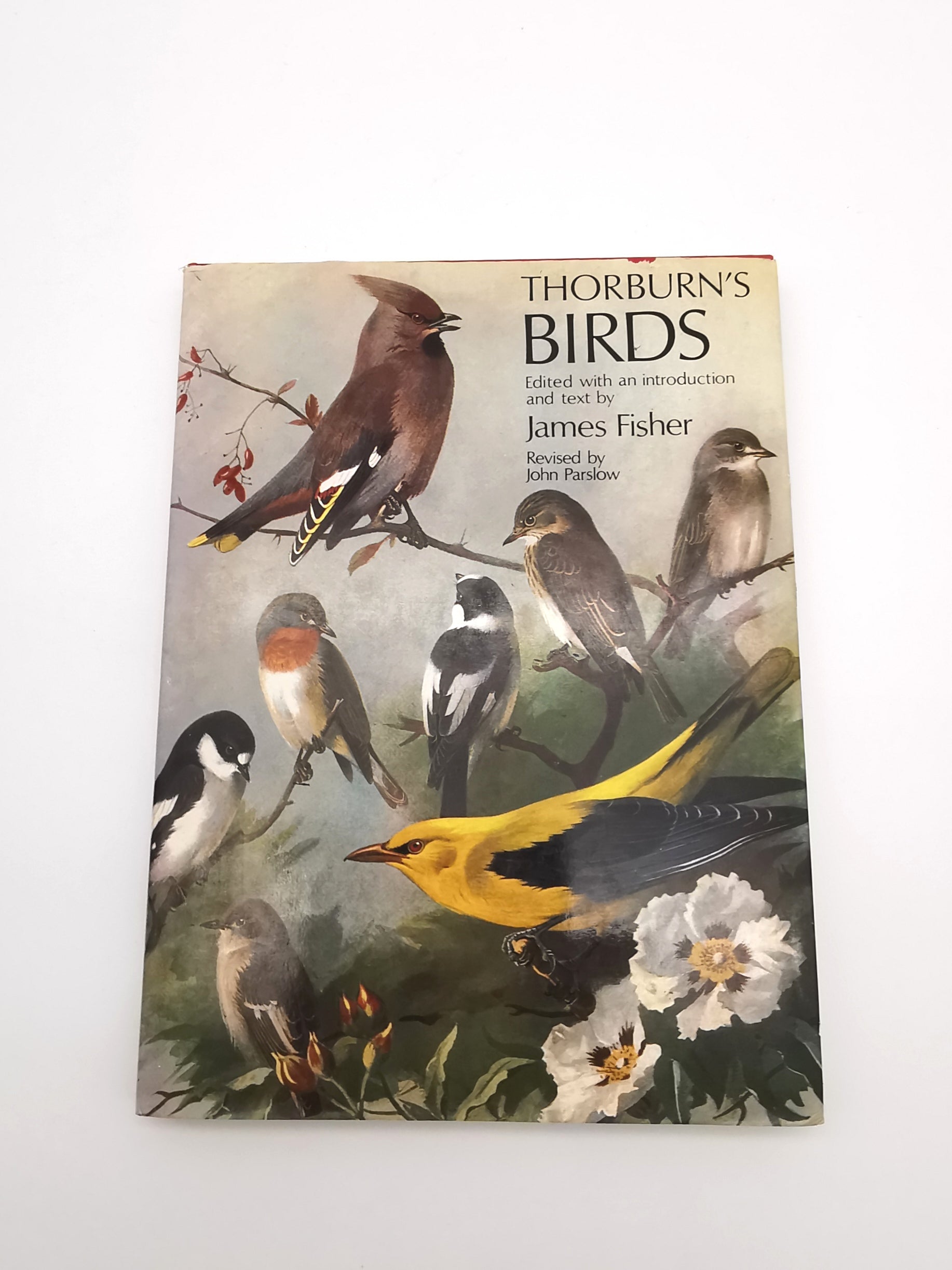 Thorburn's Birds by James Fisher & John Parslow – Book Club Associates Edition (Hardback)