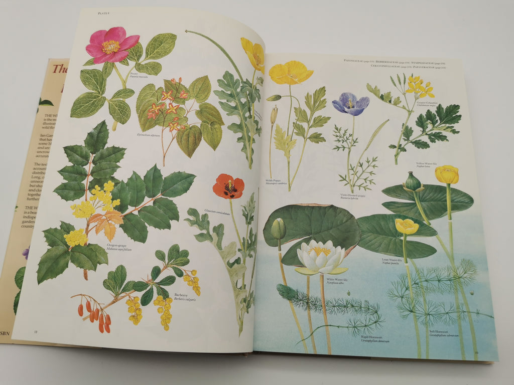 Vintage 1983 The Wild Flowers of the British Isles Hardback – First Edition Botanical Illustration Reference Guide