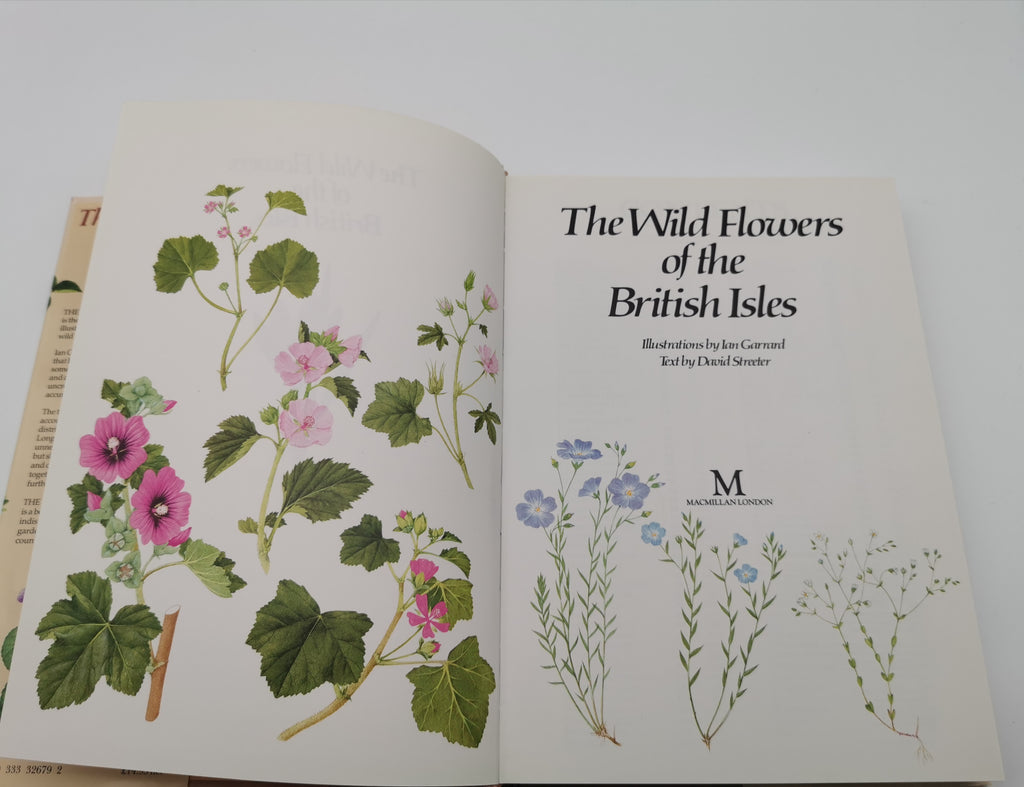 Vintage 1983 The Wild Flowers of the British Isles Hardback – First Edition Botanical Illustration Reference Guide