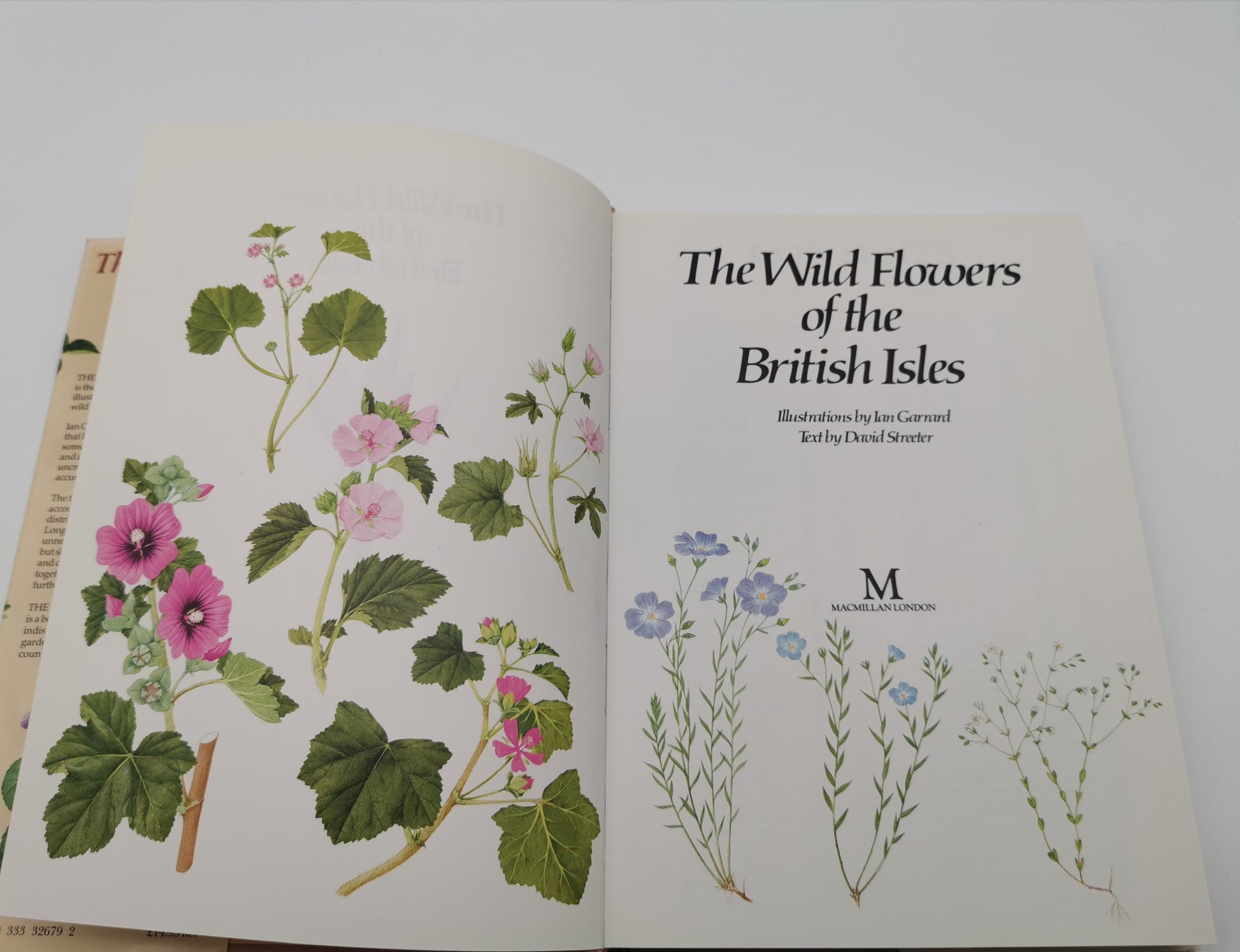 Vintage 1983 The Wild Flowers of the British Isles Hardback – First Edition Botanical Illustration Reference Guide