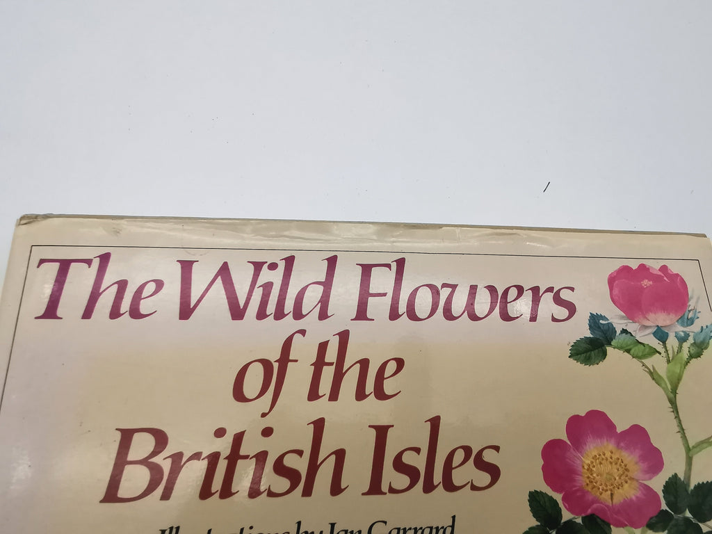 Vintage 1983 The Wild Flowers of the British Isles Hardback – First Edition Botanical Illustration Reference Guide