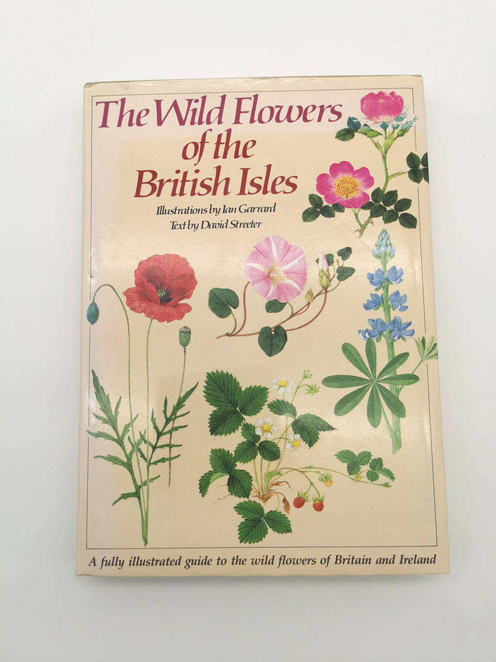 Vintage 1983 The Wild Flowers of the British Isles Hardback – First Edition Botanical Illustration Reference Guide