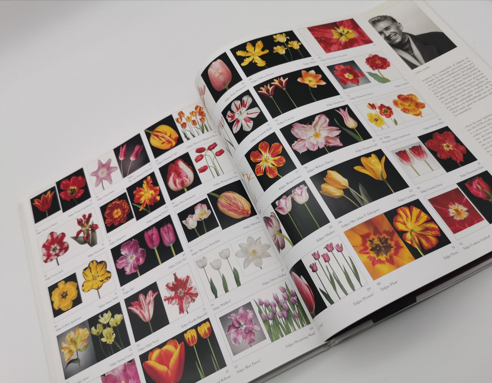 TULIPS Photo Art Book by Peter Arnold