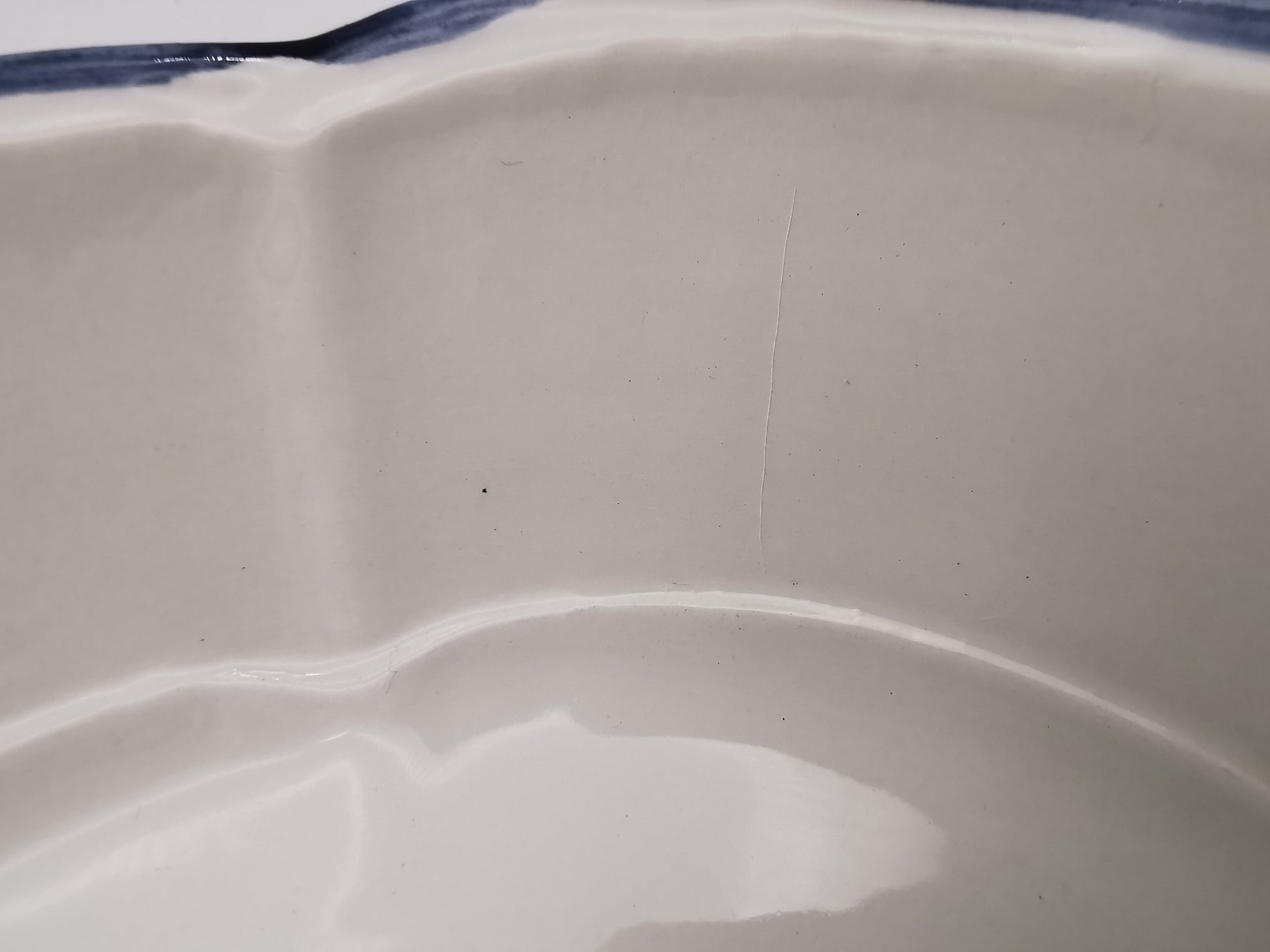 Large Vintage Italian Ceramic Serving Platter – 16" Beautiful Gooseberry Botanical Oval Tray