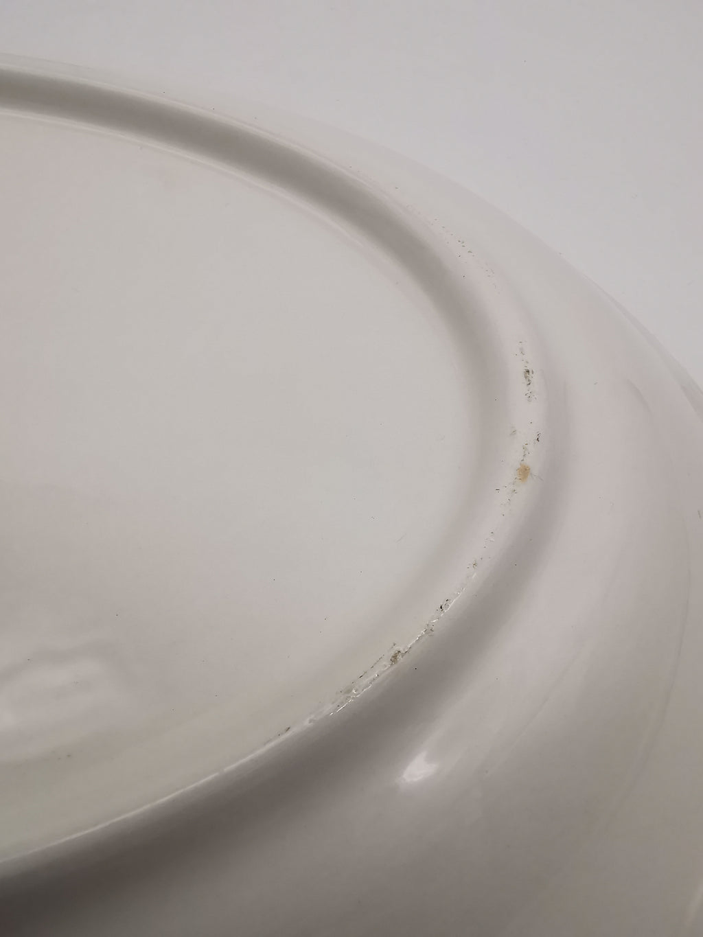 Large Vintage Italian Ceramic Serving Platter – 16" Beautiful Gooseberry Botanical Oval Tray
