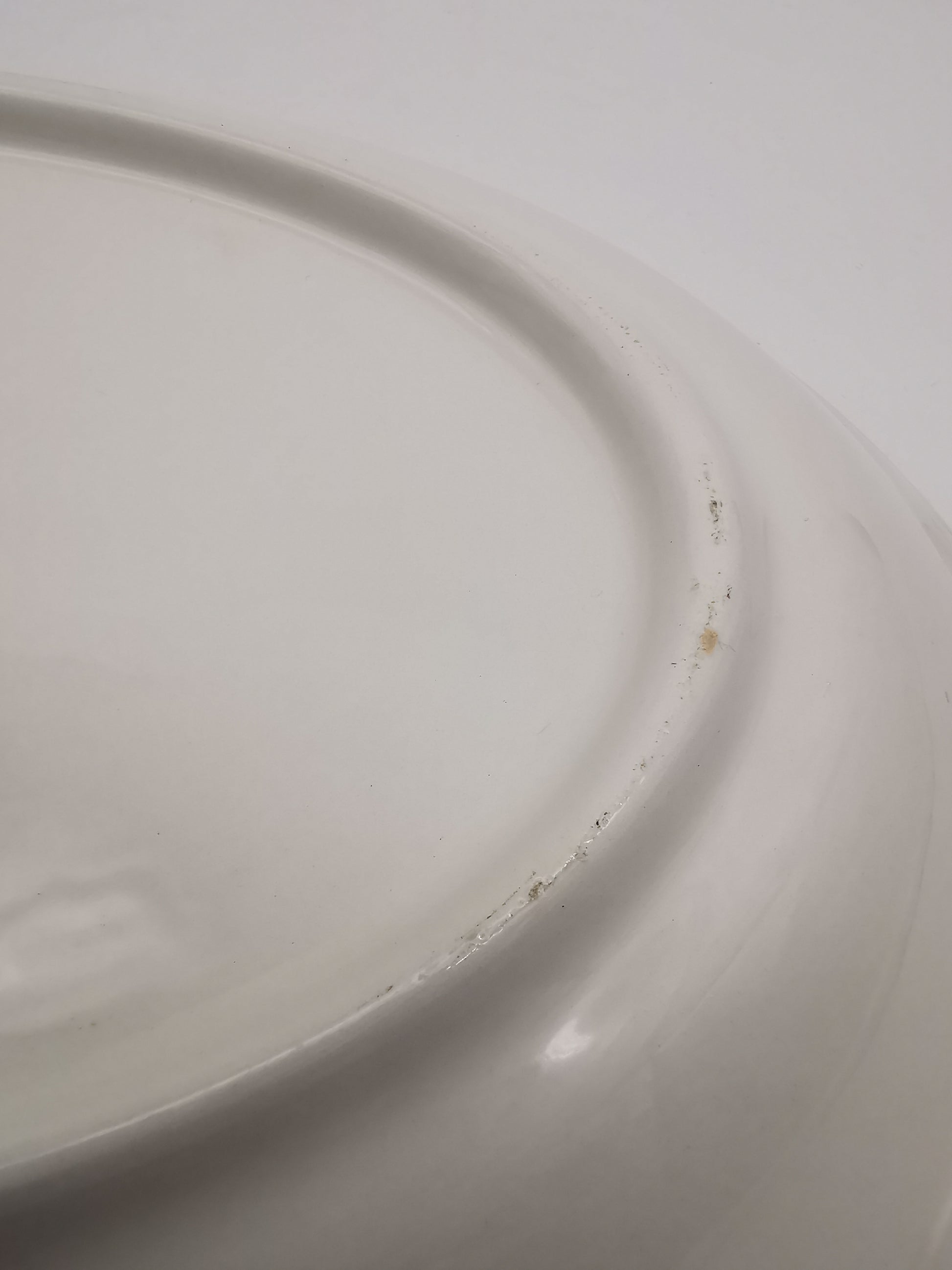 Large Vintage Italian Ceramic Serving Platter – 16" Beautiful Gooseberry Botanical Oval Tray