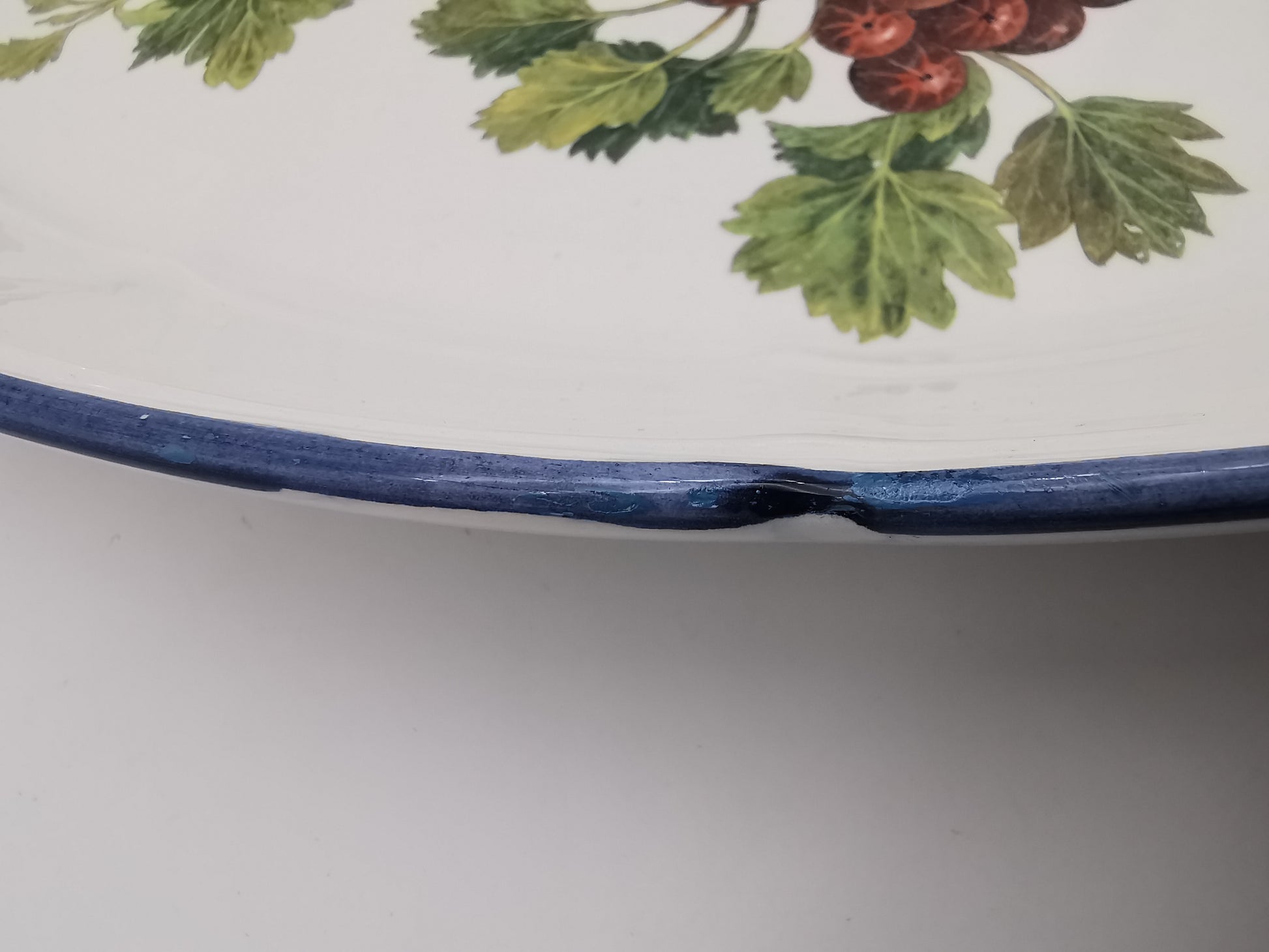 Large Vintage Italian Ceramic Serving Platter – 16" Beautiful Gooseberry Botanical Oval Tray