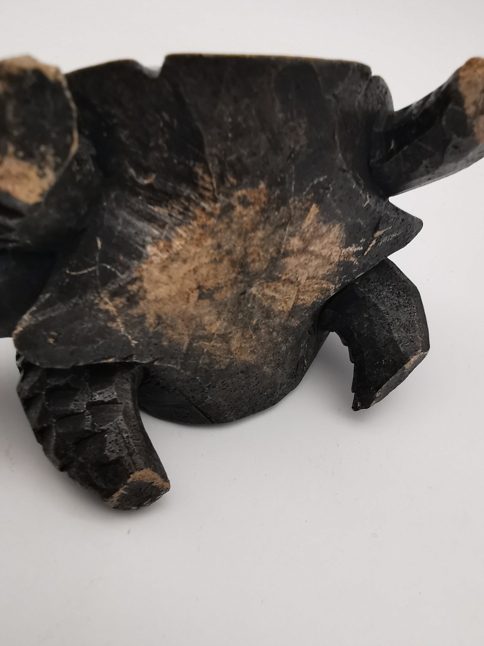 Heavy Vintage Swaziland Soapstone Tortoise – Rare Eswatini Hand-Carved Sculpture