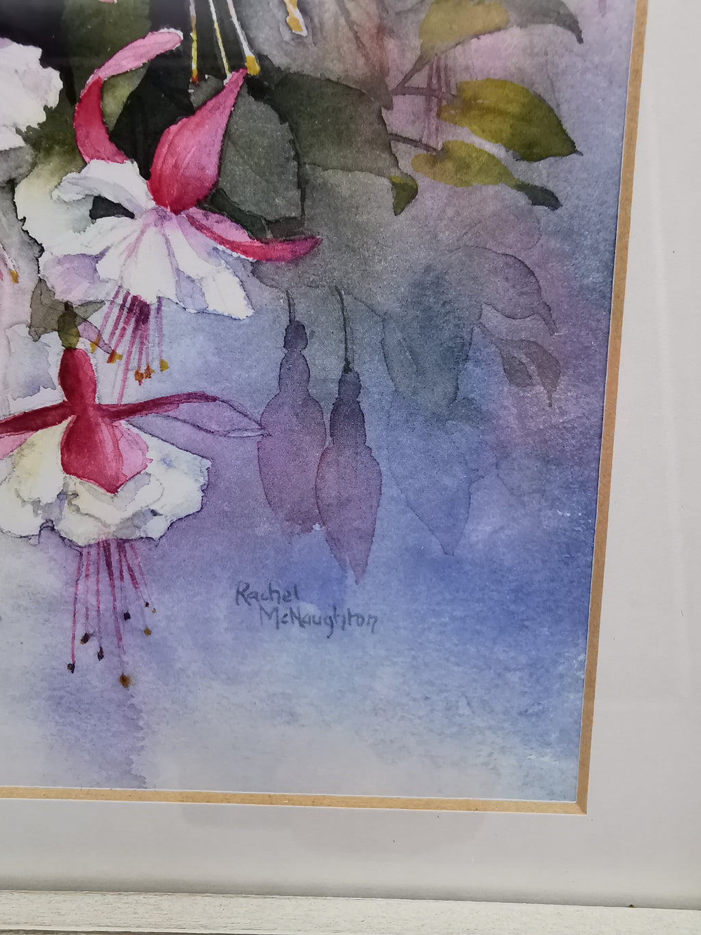 Rachel McNaughton Framed Fuchsia Watercolor Print