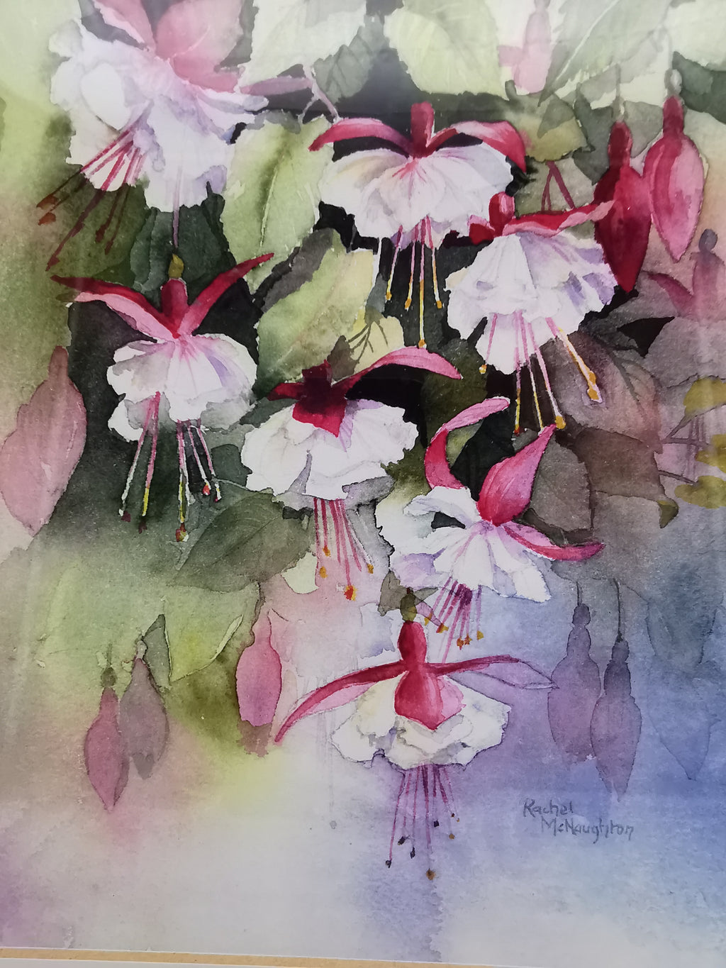 Rachel McNaughton Framed Fuchsia Watercolor Print