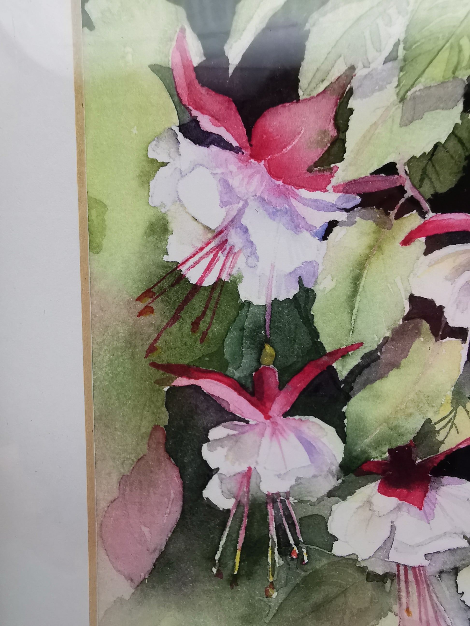 Rachel McNaughton Framed Fuchsia Watercolor Print