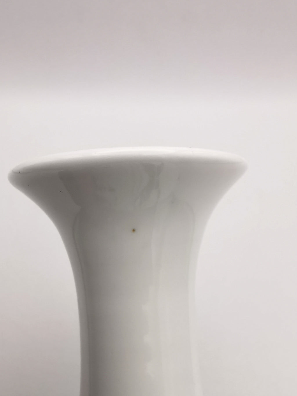 Vintage Jingdezhen Chinese Porcelain Shrimp Vase - Qi Baishi Style