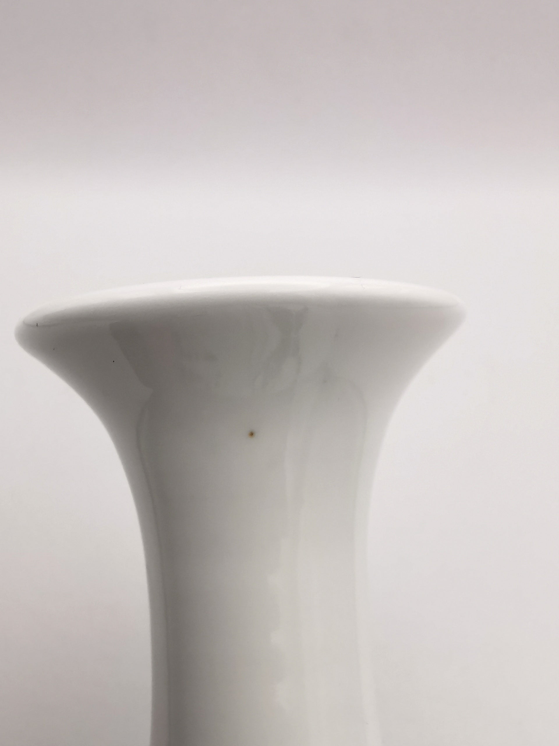 Vintage Jingdezhen Chinese Porcelain Shrimp Vase - Qi Baishi Style