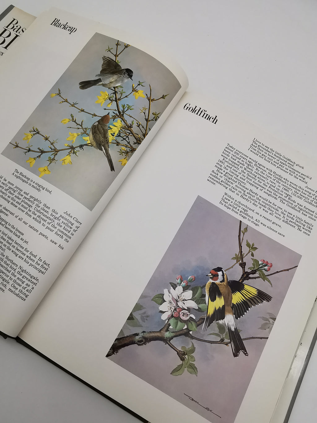 Vintage 1980 Basil Ede’s Birds Hardback Book – 70 Full- Colour Natural History Plates