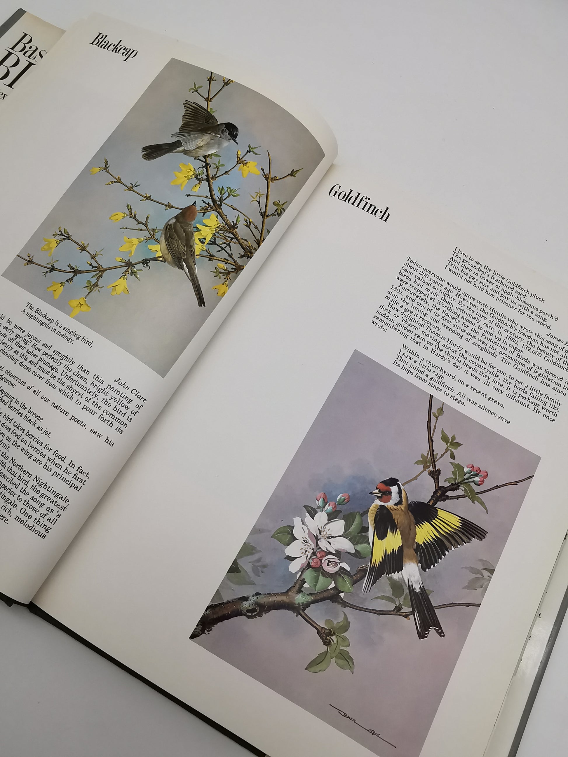 Vintage 1980 Basil Ede’s Birds Hardback Book – 70 Full- Colour Natural History Plates