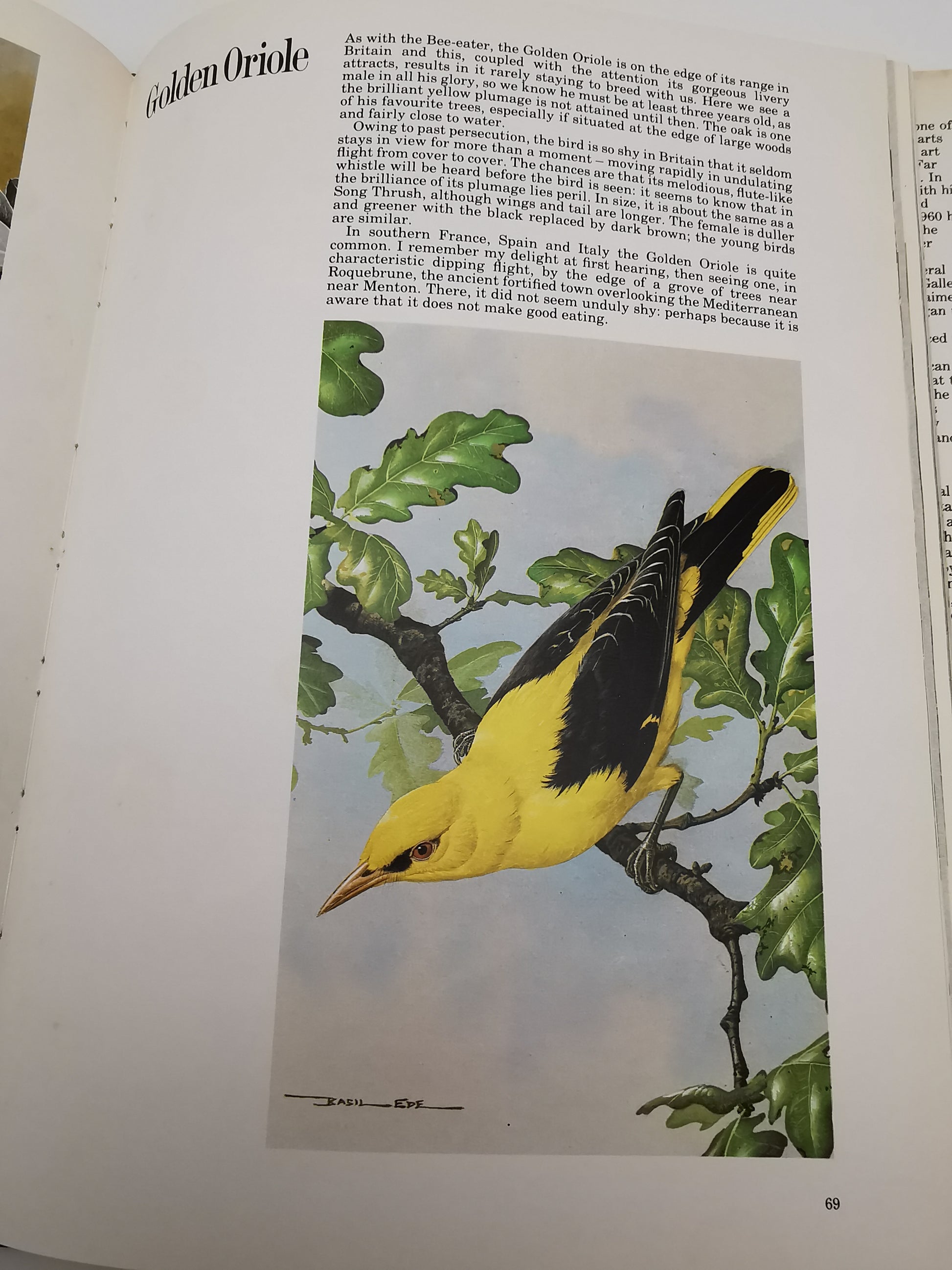 Vintage 1980 Basil Ede’s Birds Hardback Book – 70 Full- Colour Natural History Plates