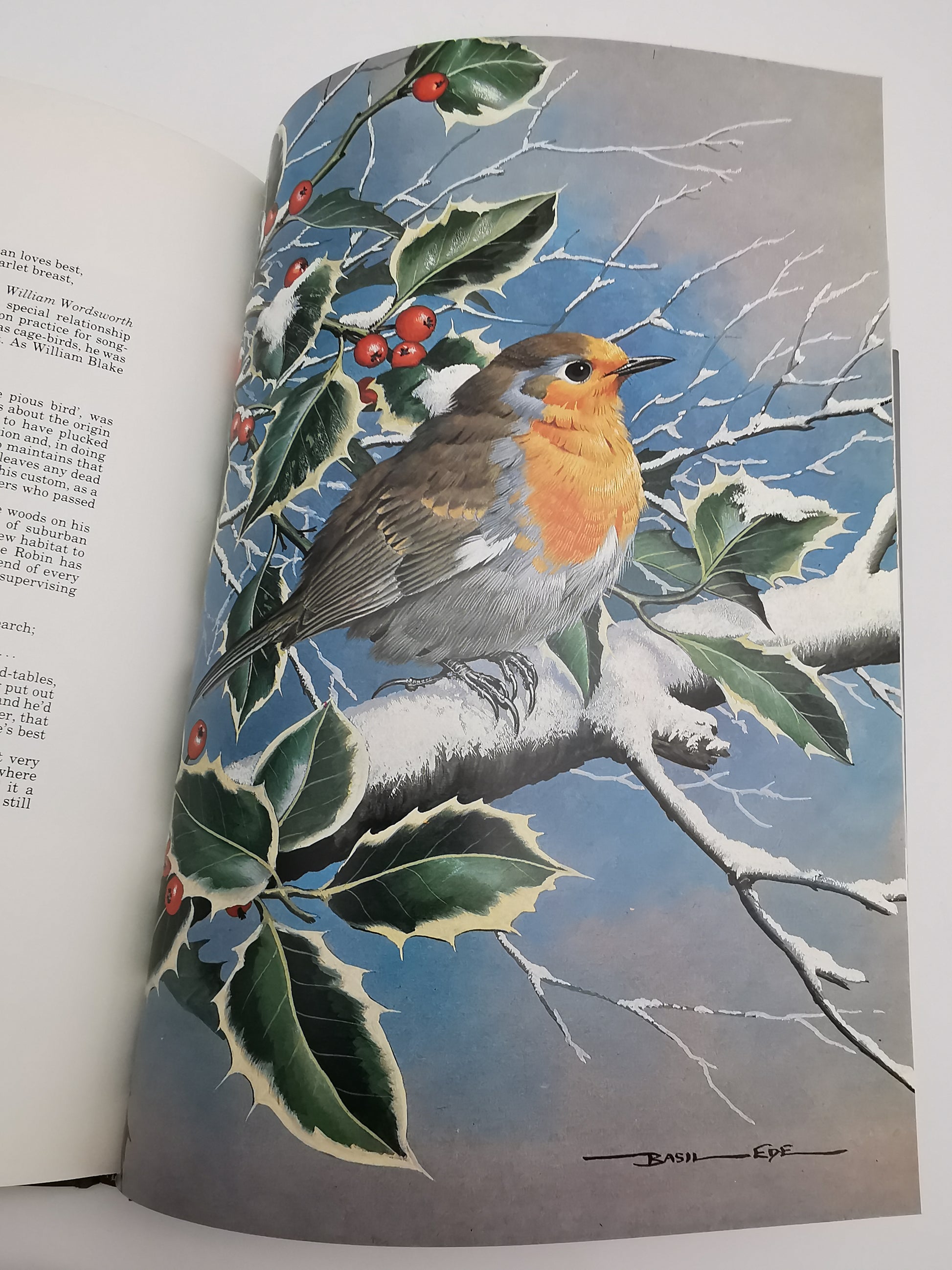 Vintage 1980 Basil Ede’s Birds Hardback Book – 70 Full- Colour Natural History Plates