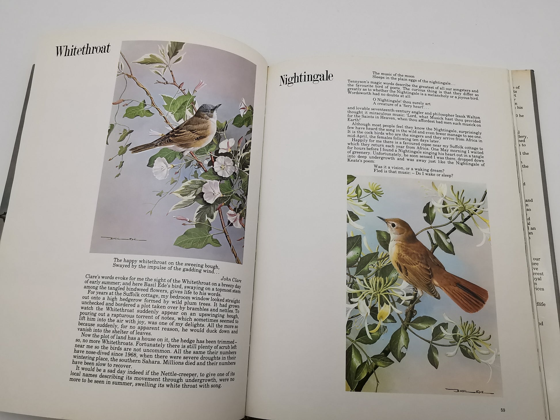 Vintage 1980 Basil Ede’s Birds Hardback Book – 70 Full- Colour Natural History Plates