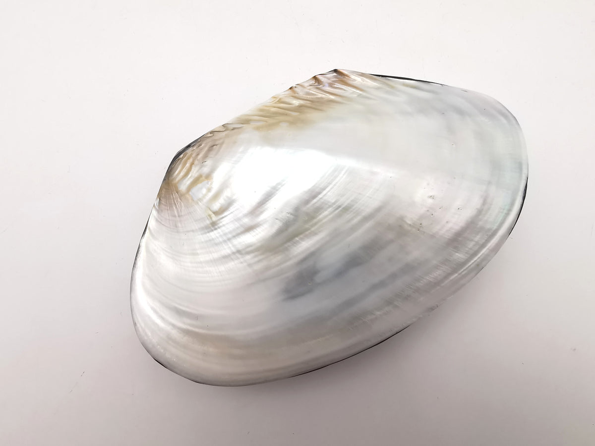 Vintage Clam Shell Trinket Box – Mother of Pearl and Crackled Mosaic Jewelry Case