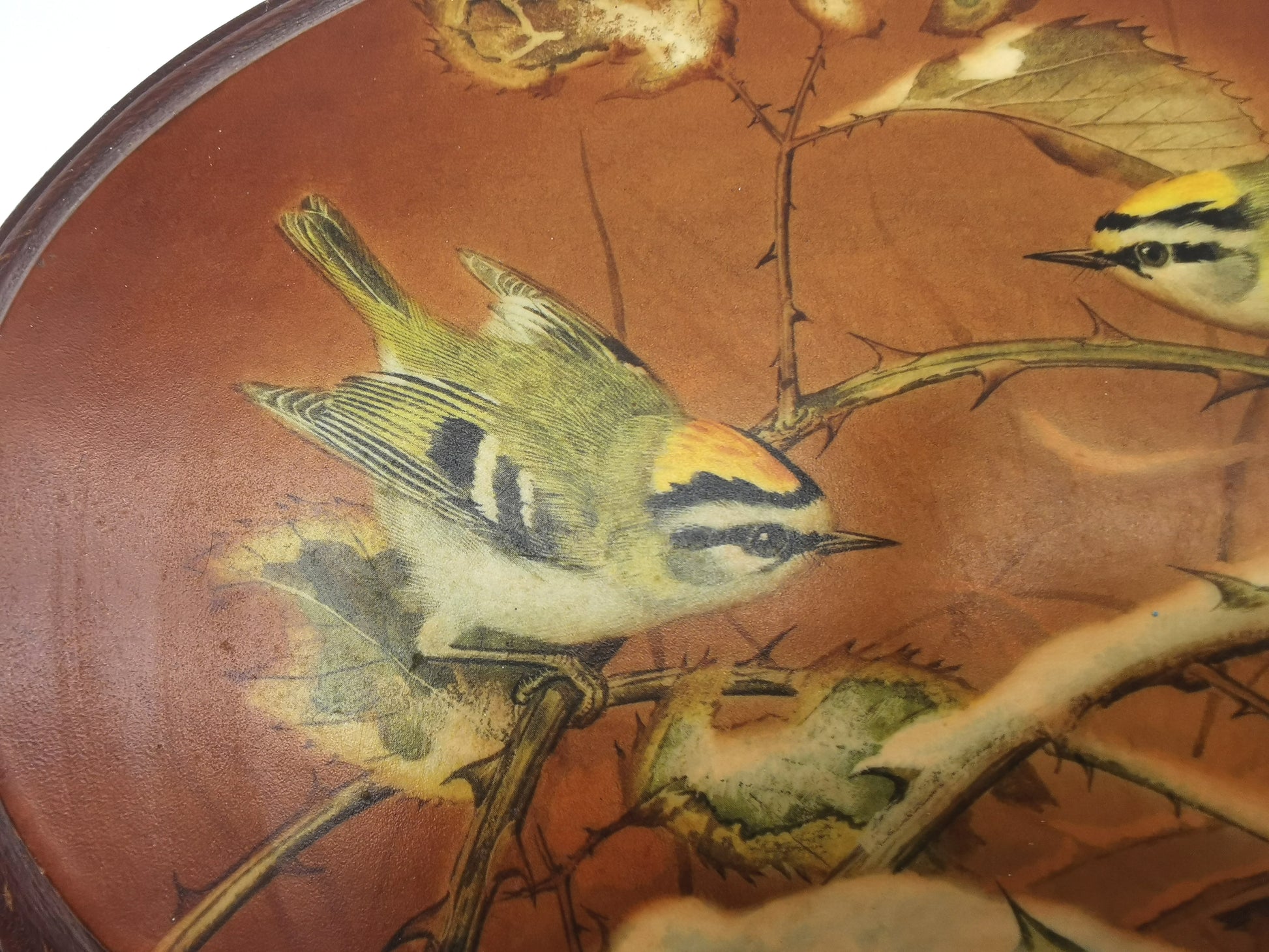 Pair Vintage Basil Ede Bird Oval Wall Plaques – Goldcrests and Long-tailed Tits, 26cm wide