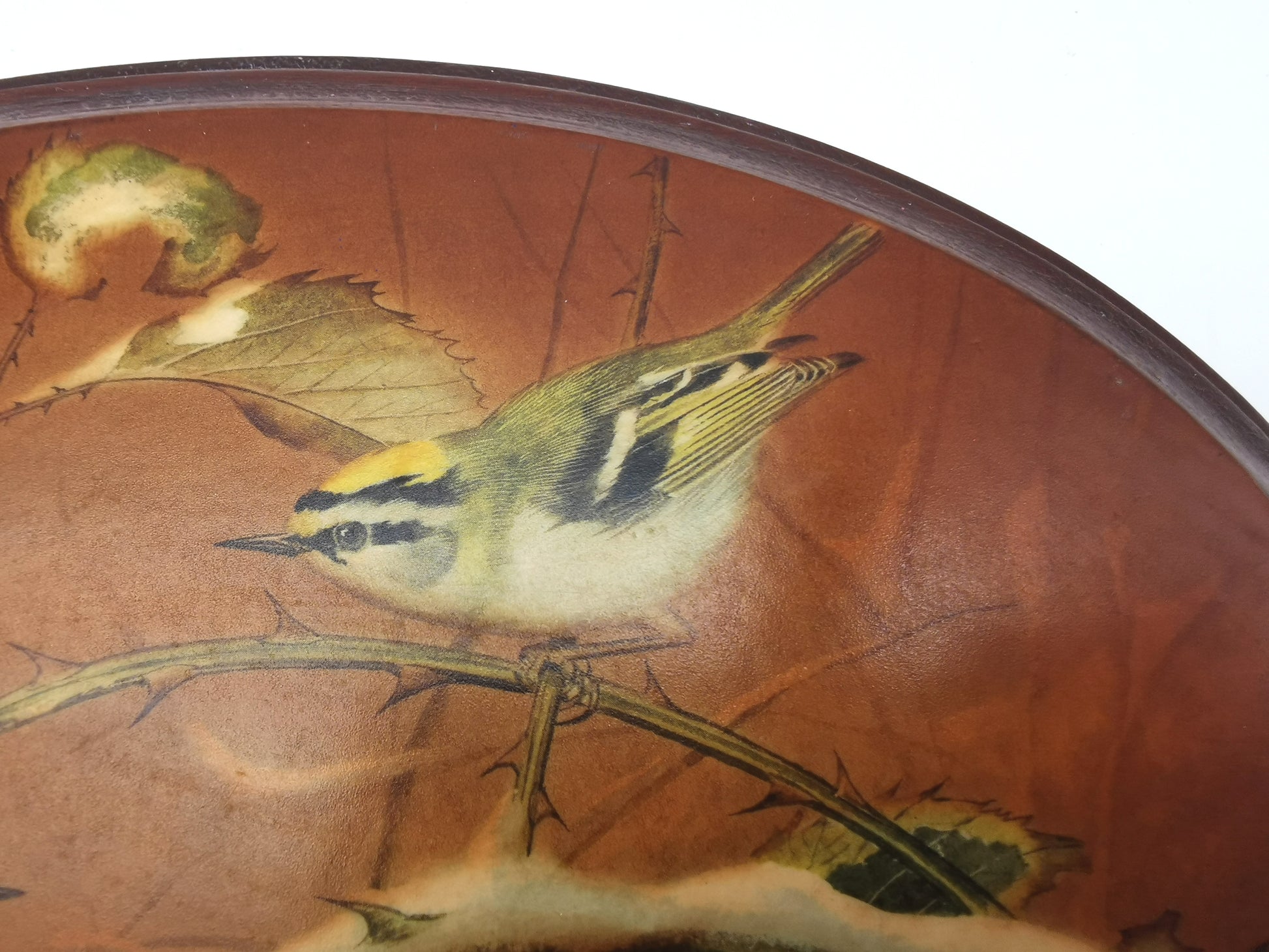 Pair Vintage Basil Ede Bird Oval Wall Plaques – Goldcrests and Long-tailed Tits, 26cm wide