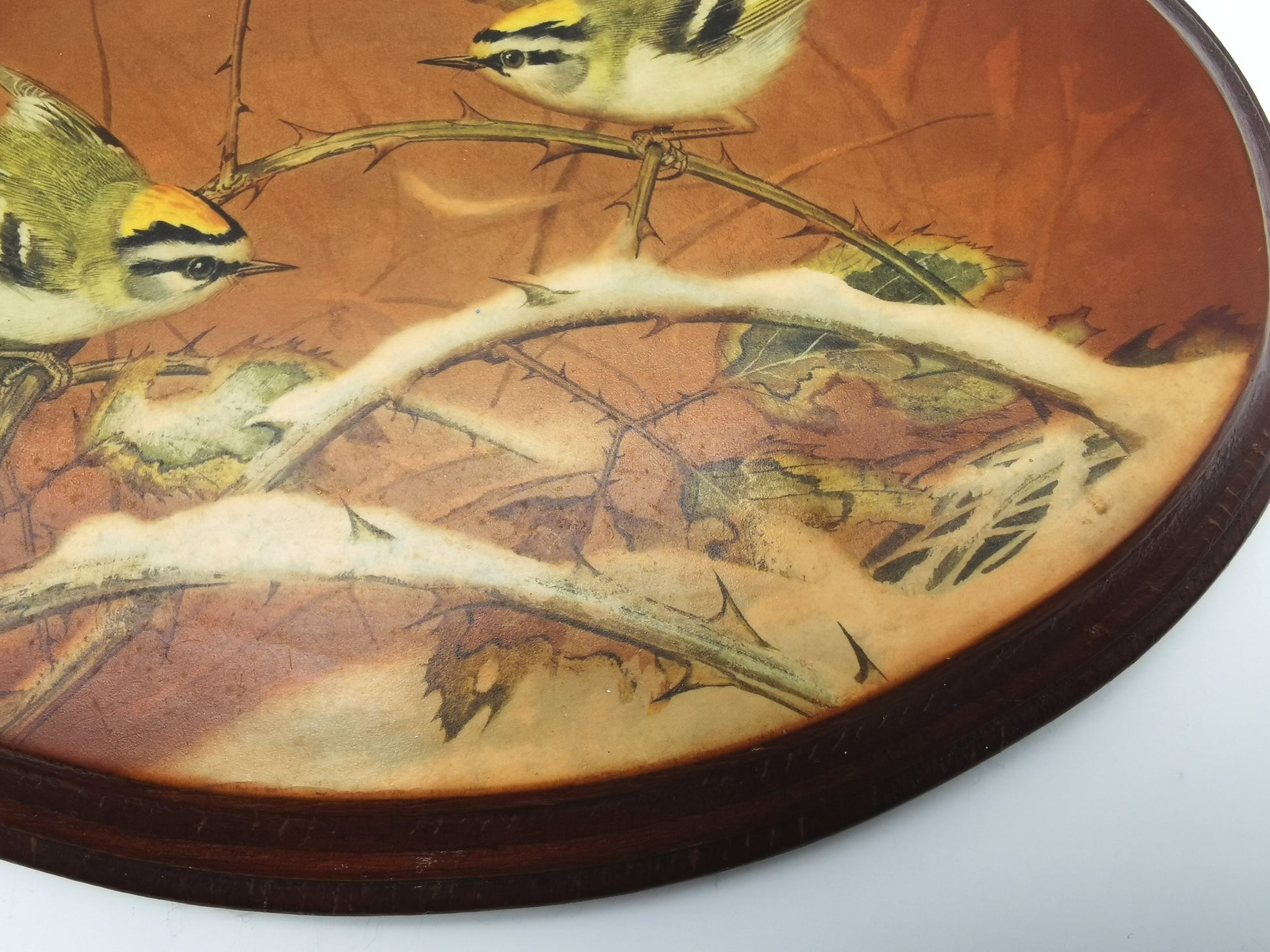 Pair Vintage Basil Ede Bird Oval Wall Plaques – Goldcrests and Long-tailed Tits, 26cm wide