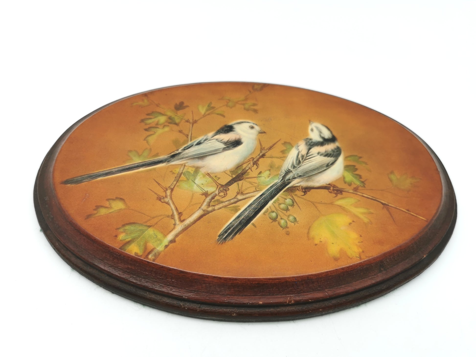 Pair Vintage Basil Ede Bird Oval Wall Plaques – Goldcrests and Long-tailed Tits, 26cm wide